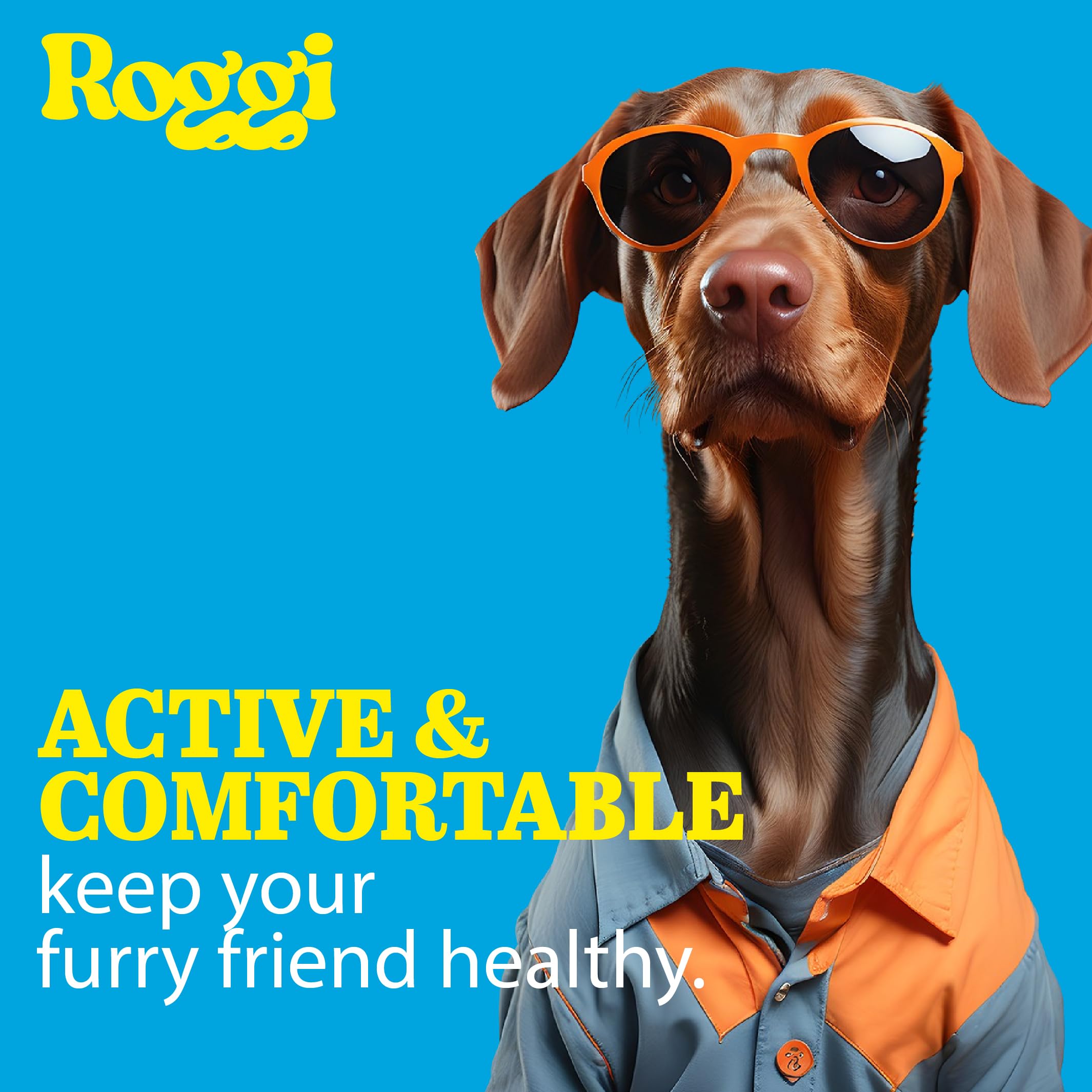 ROGGI Joint Care Chews for Dogs Joint Supplements for Dogs Glucosamine for Dogs Dog Joint Supplements For Senior Dogs - Image 2