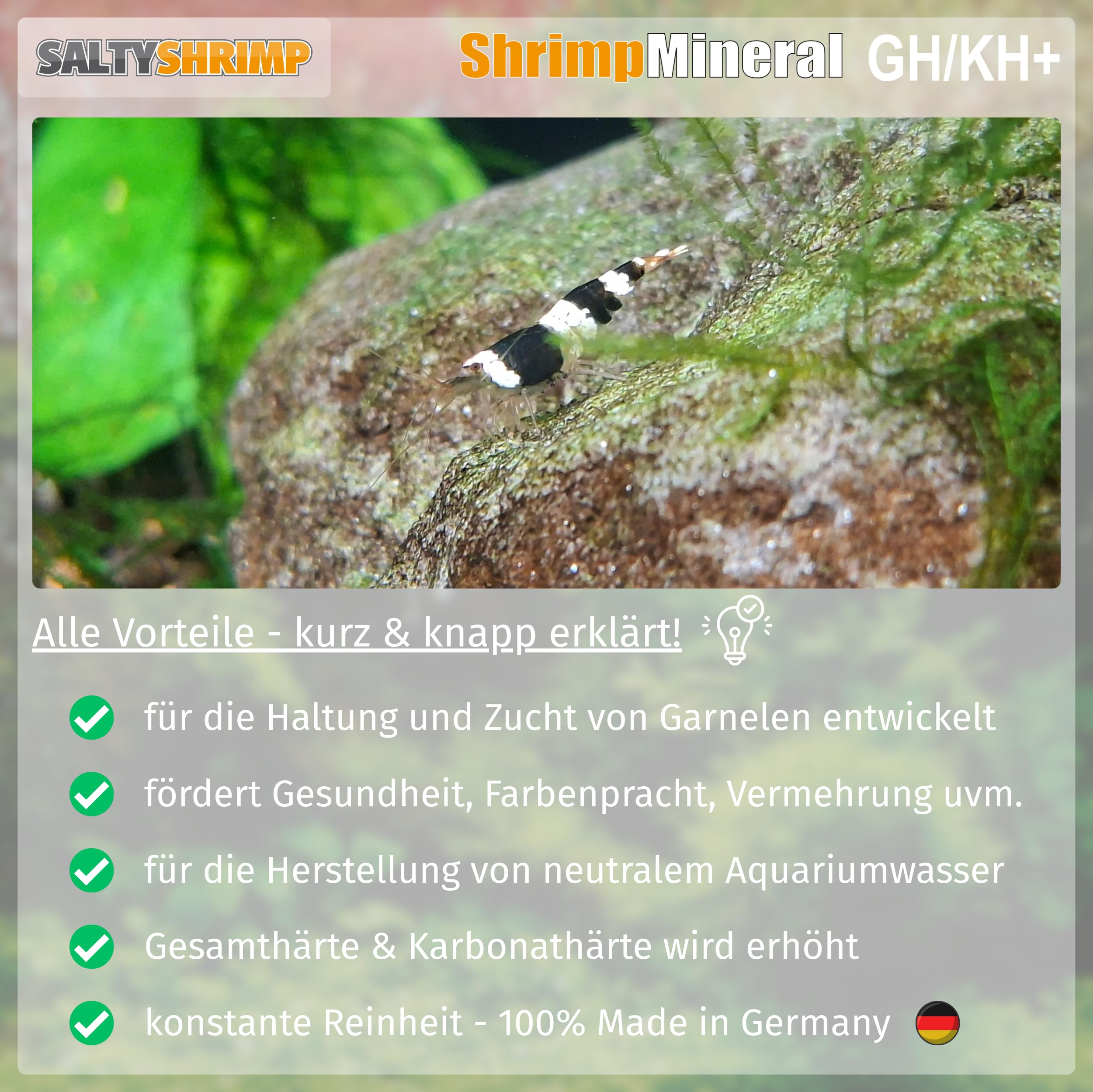 Shrimp Mineral GH/KH+ | 2,55 KG/ 2550g - Sale minerale. Sviluppato appositamente per il mantenimento e l'allevamento dei gamberetti. Per l'acqua neutra e la remineralizzazione