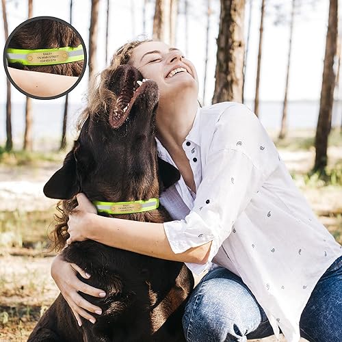 Miniatura 18 de Regal Dog Products Collar de perro reflectante naranja grande con placa de nombre grabada personalizada y anillo central resistente Collares