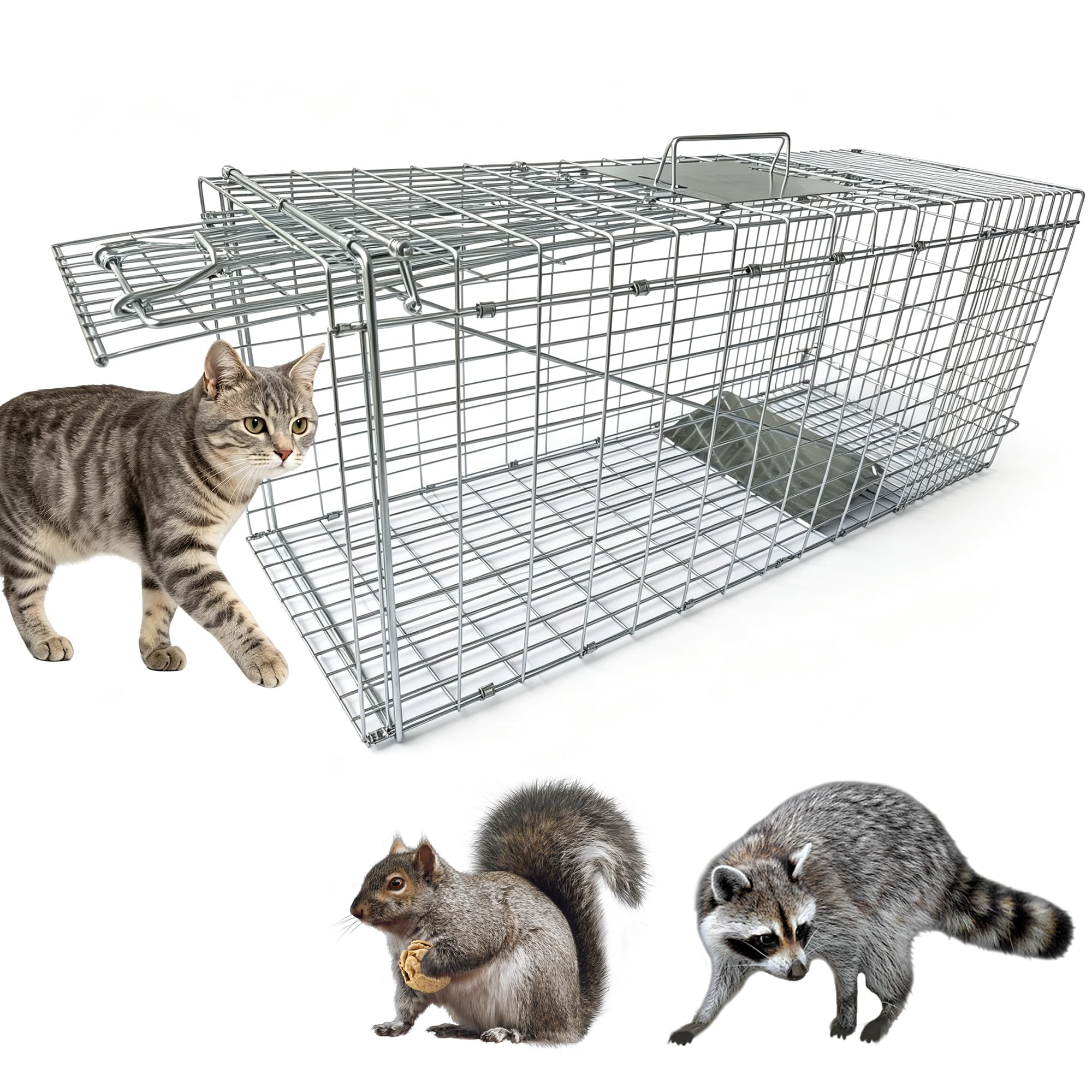 Pièges à Chat - Piège Animalier Vivant - Piège de Capture Animaux sans Cruauté, Pliable, Grand piège à martre pour Chat, Renard, Rat - 79 x 33 x 28 cm