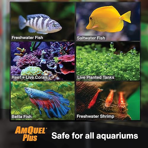 Miniatura 3 de KORDON #33475 AmQuel Plus Tratamiento de agua, 5 galones