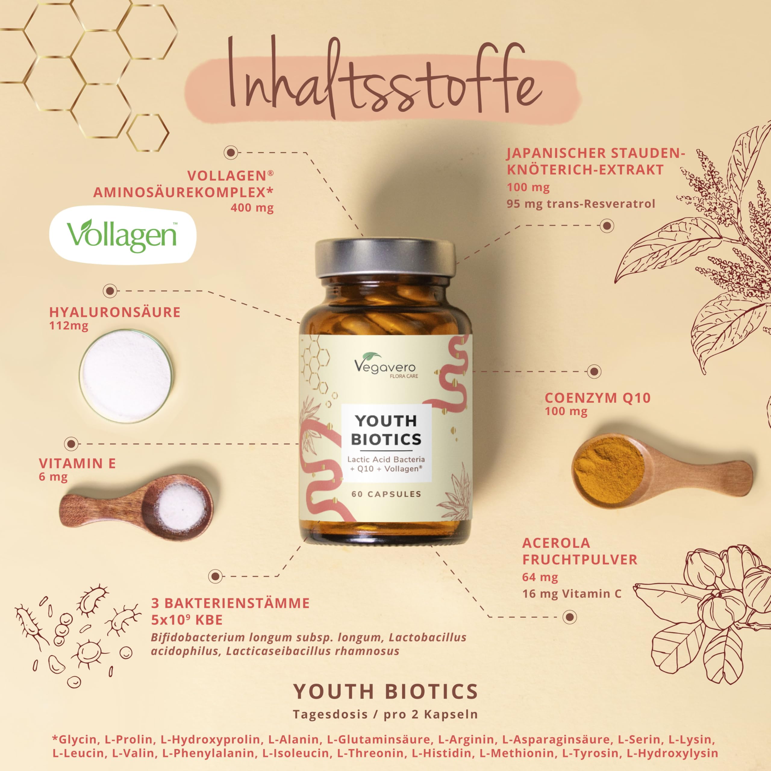 Youth Biotics Kapseln | Veganer Anti-Aging Komplex | Mit Vollagen, Hyaluronsäure & Bakterienstämmen | Magensaftresistent | 60 Stück | Deutsche Produktion von Vegavero
