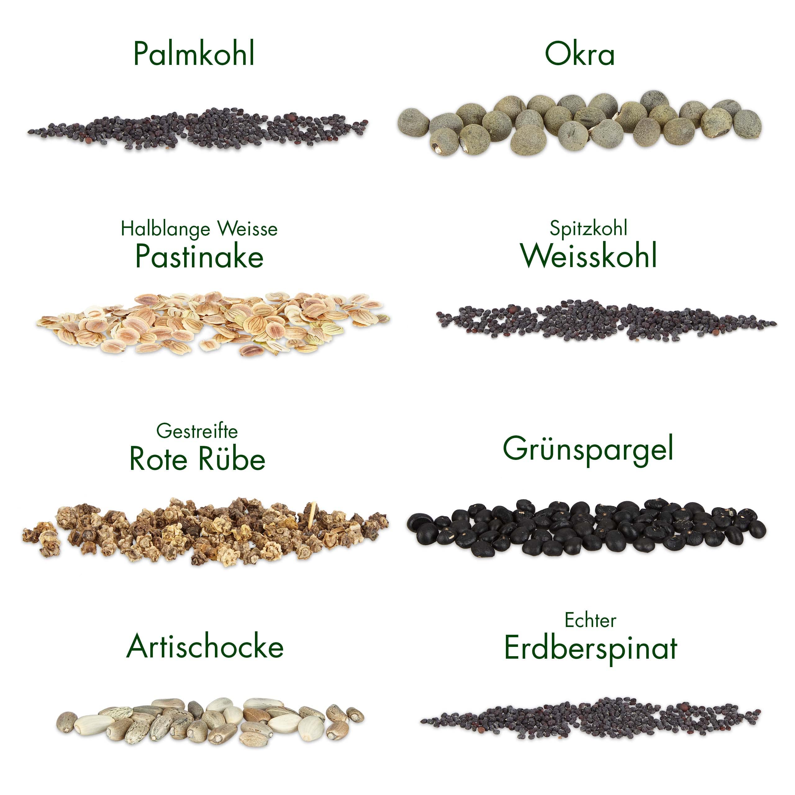 Gemüsesamen Alte Sorten: 8 Sorten Alte Gemüse Samen im Set für Garten und Balkon – Artischocken Samen, Spitzkohl Samen, Palmkohl Samen, Pastinaken, Rote Rübe, Spargel – Saatgut Alte Sorten v OwnGrown
