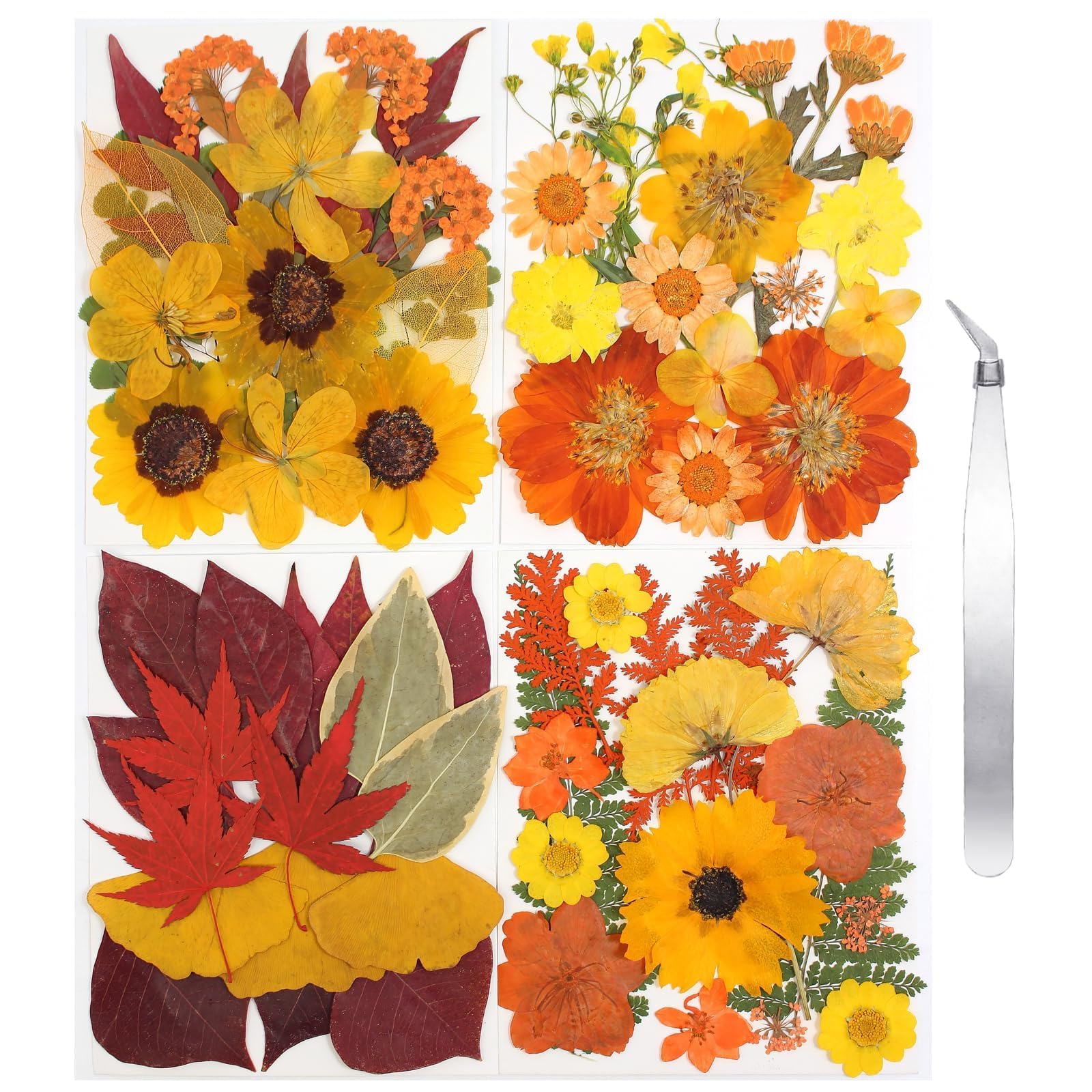 Dried Flowers 68Pcs Fall Pressed Flower with Tweezer for Crafts