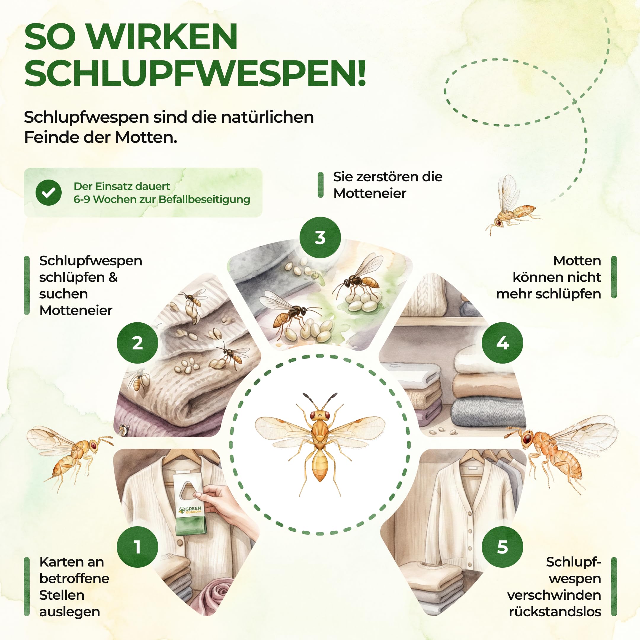 GREEN GUARDIA Schlupfwespen gegen Kleidermotten - 9 Karten à 4 Lieferungen - Effektiv Motten bekämpfen/Bio- und Umweltfreundliche Alternative zu Mottenfalle, Mottenspray, Pheromfalle