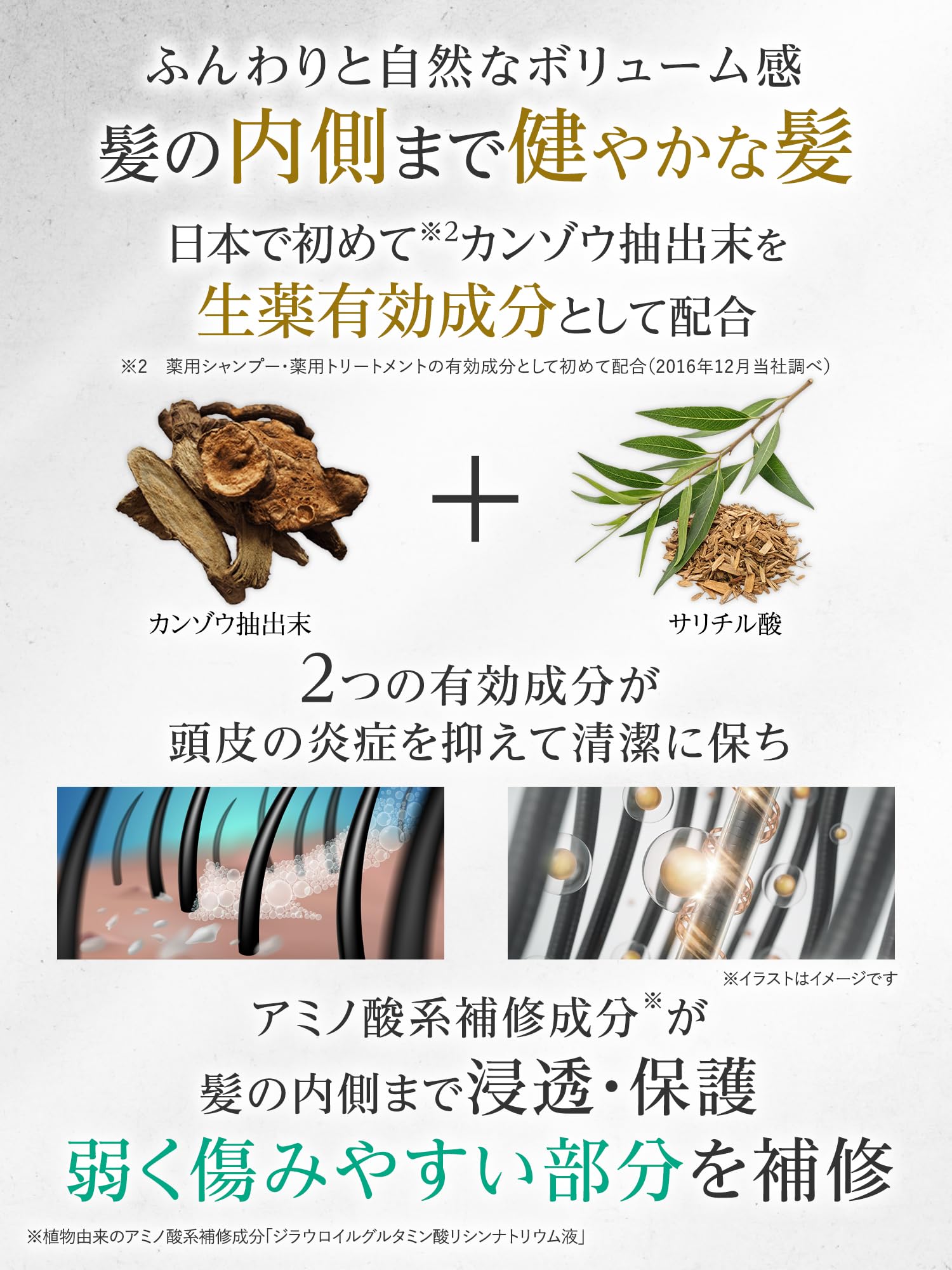 Amazon | バスクリン 髪姫 【医薬部外品】 トリートメント 薬用