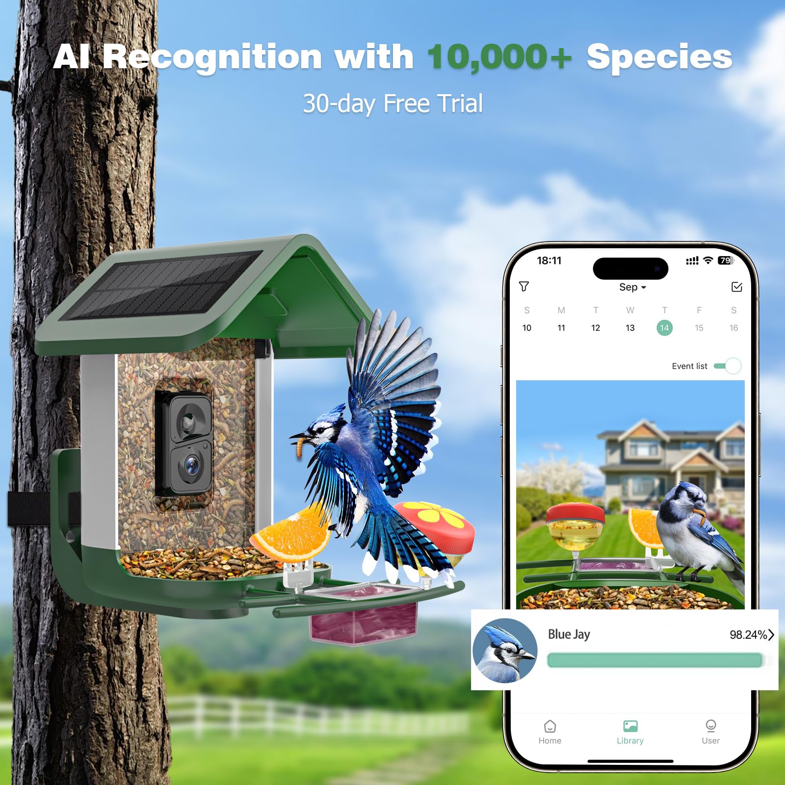 Bird Feeder Comedero Para Pájaros Con Cámara Alimentada Por Energía Comedero  Pajaros Con Camara, image size:1600x1600