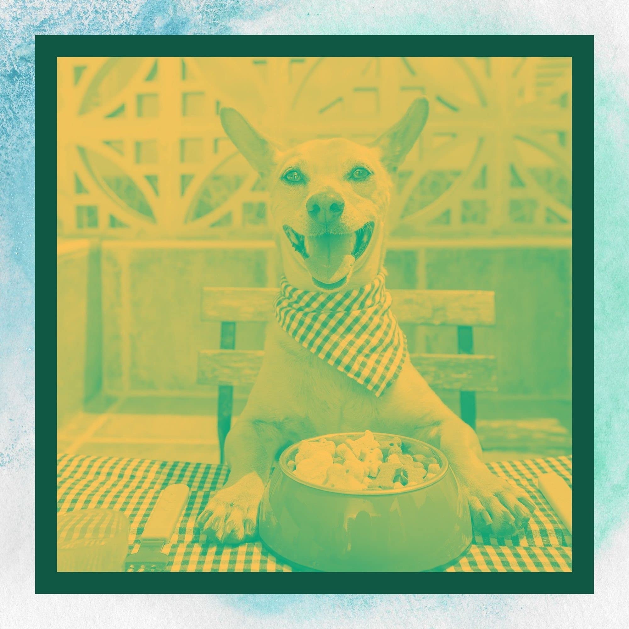 犬のリラックス音楽 事業