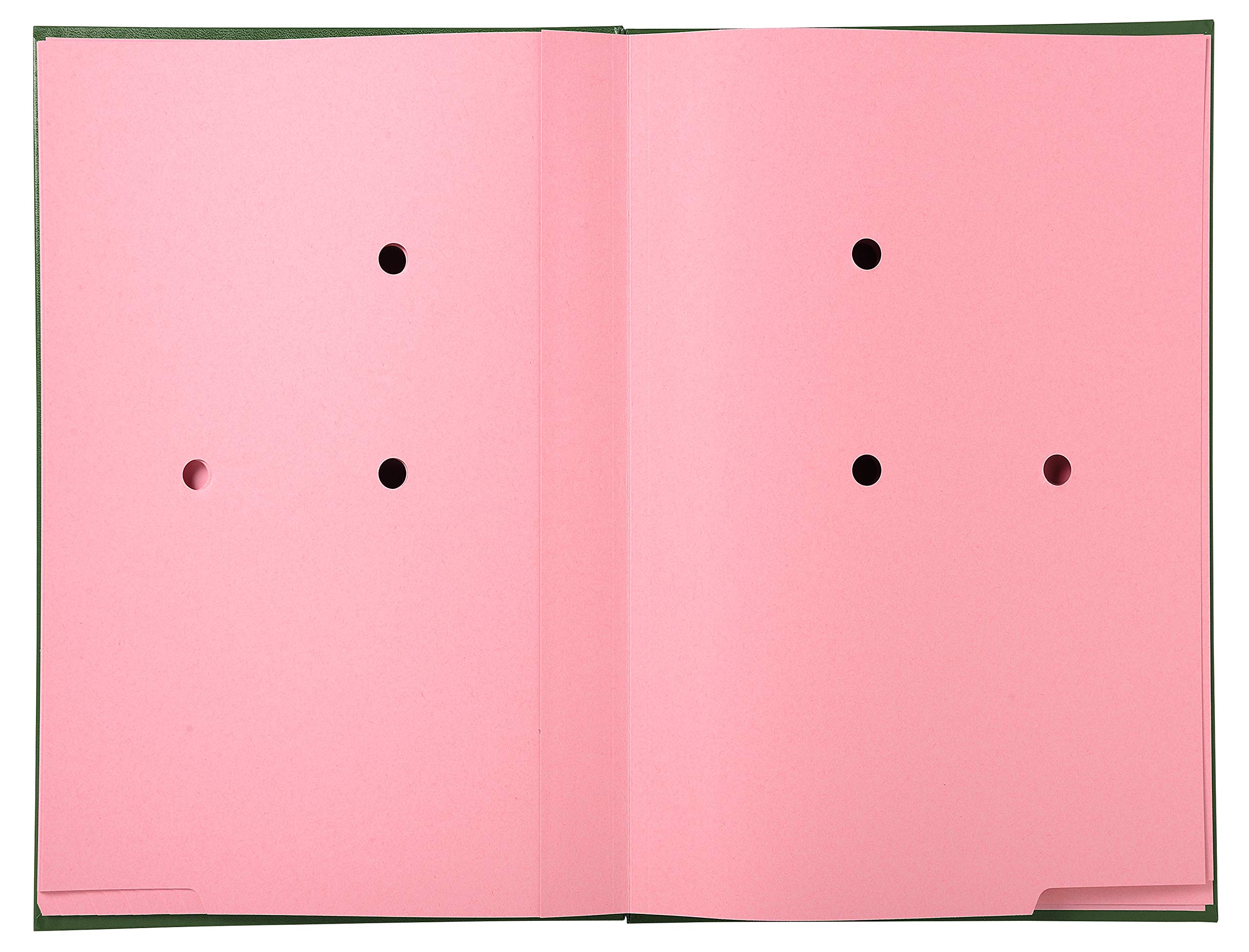 Exacompta - Rif. 57023E - Cartone di 8 paracolpi sterzo - retro a soffietto telato - porta etichetta - copertina plastificata - 20 scomparti in carta rosa con 3 perforazioni - 24 x 35 cm - verde