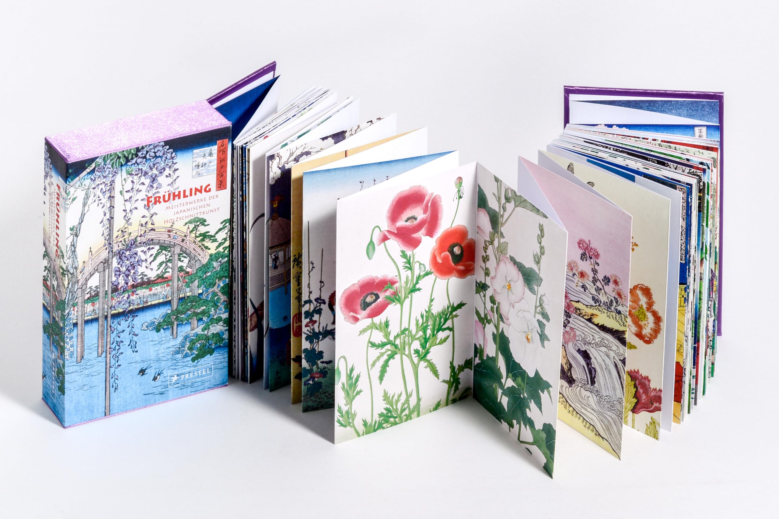 Amazon.co.jp: Jocelyn Bouquillard: 本、バイオグラフィー、最新