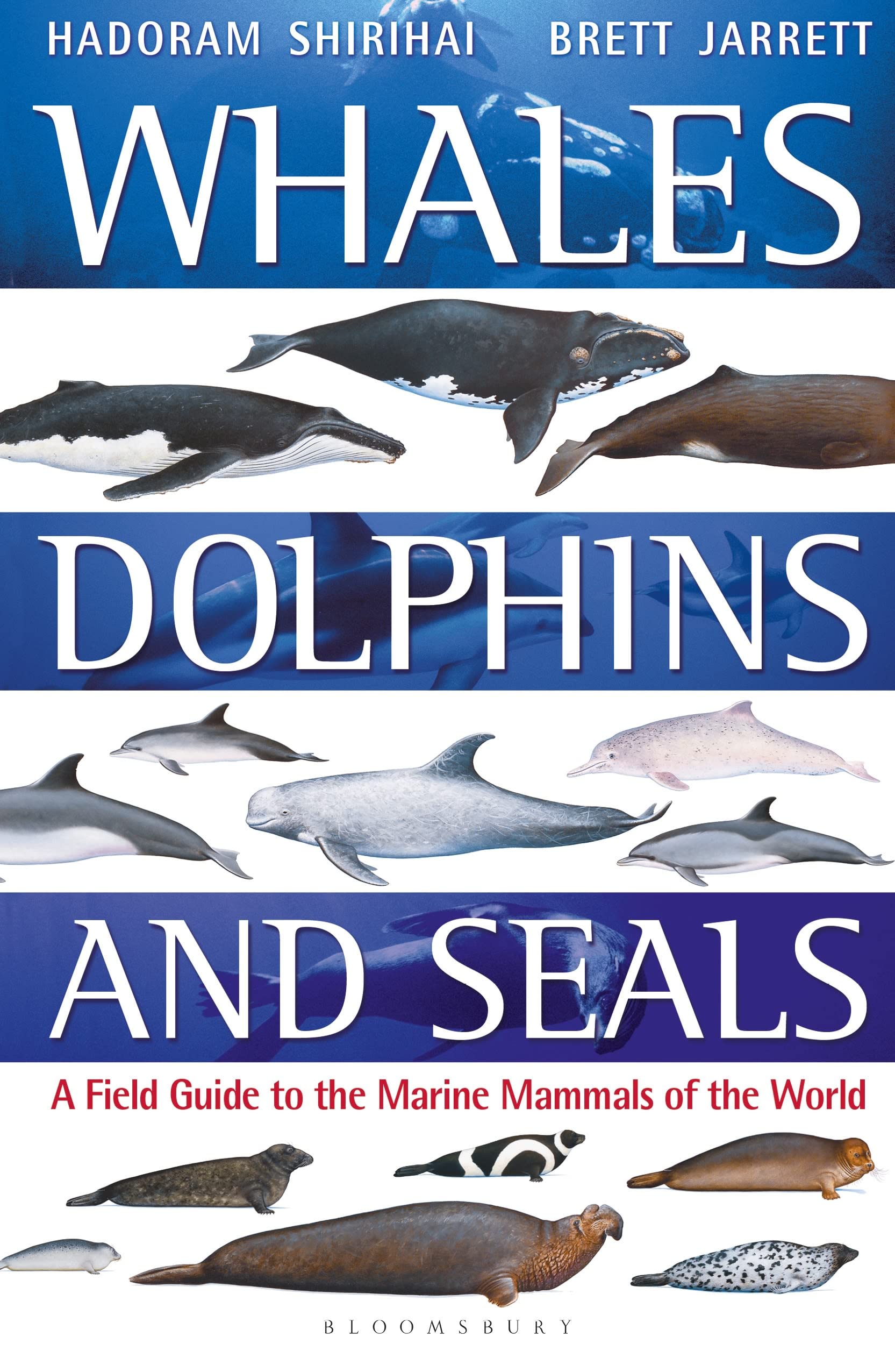 Whales, Dolphins and Seals: A field guide to the marine mammals of the world (Bloomsbury Naturalist)