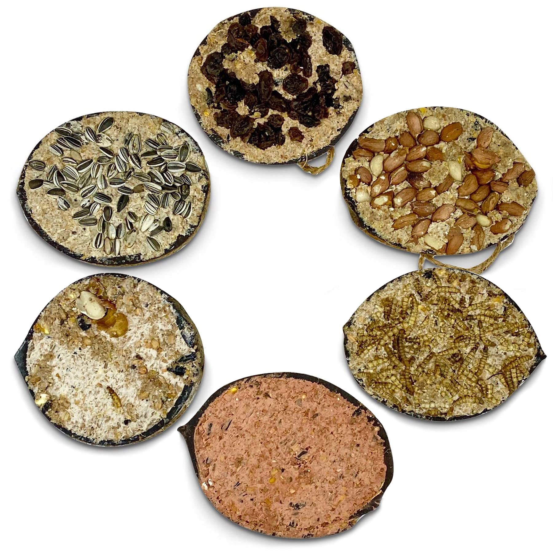 REPEAK Coconut Bird Feeder Halves, Pack of 6 Different Flavours Including Suet, Sunflower Seed