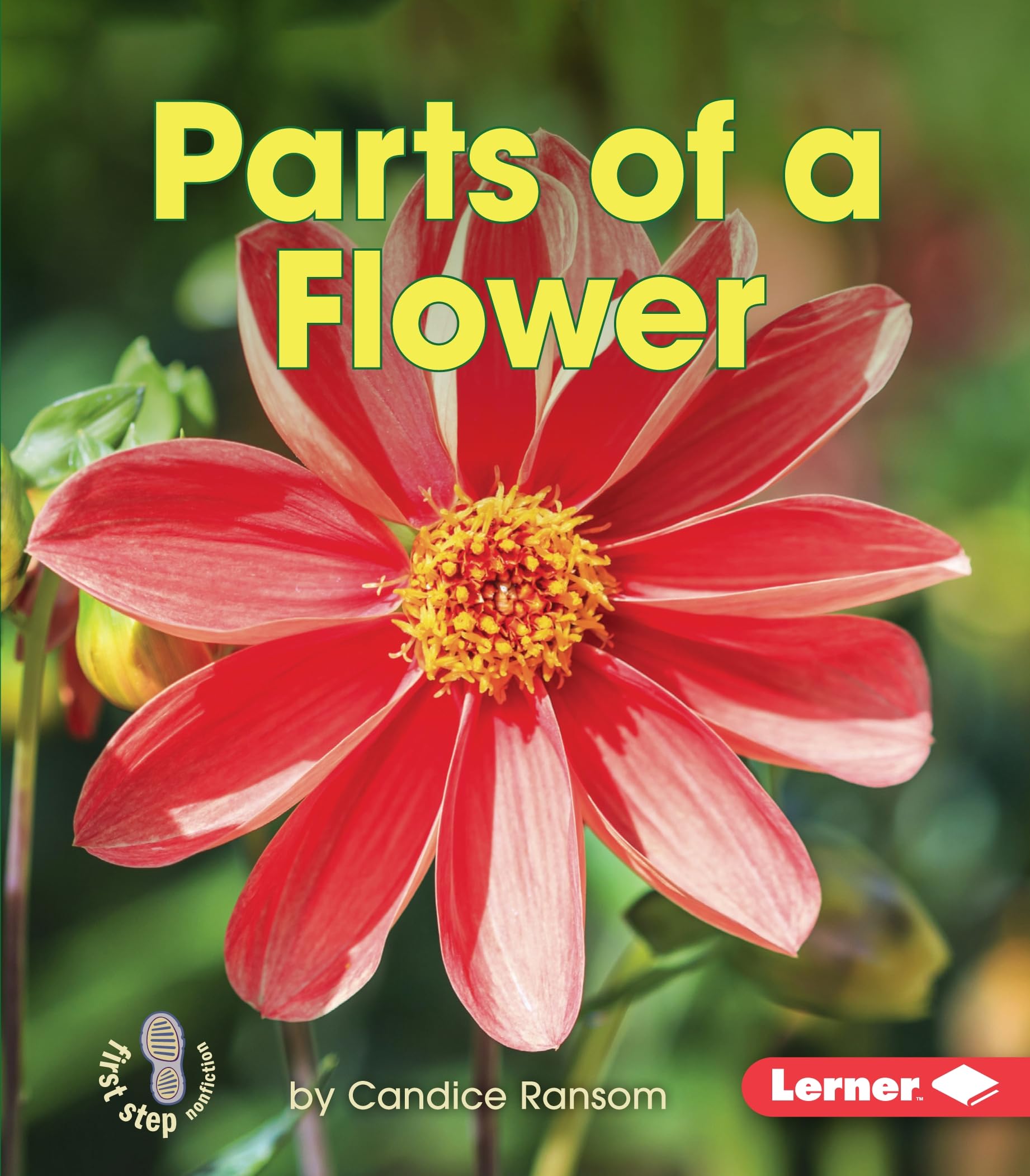 Parts of a Flower: Ransom, Candice: 9781467760706: Books - Amazon.ca