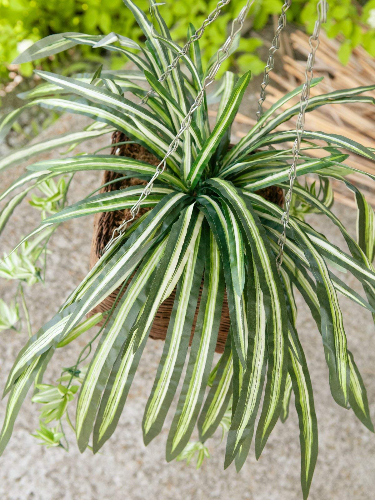 Amazon.de: artplants.de Knstliche grnlilie Malou auf Steckstab,  grn-wei, 60cm,  50cm - Kunstpflanze