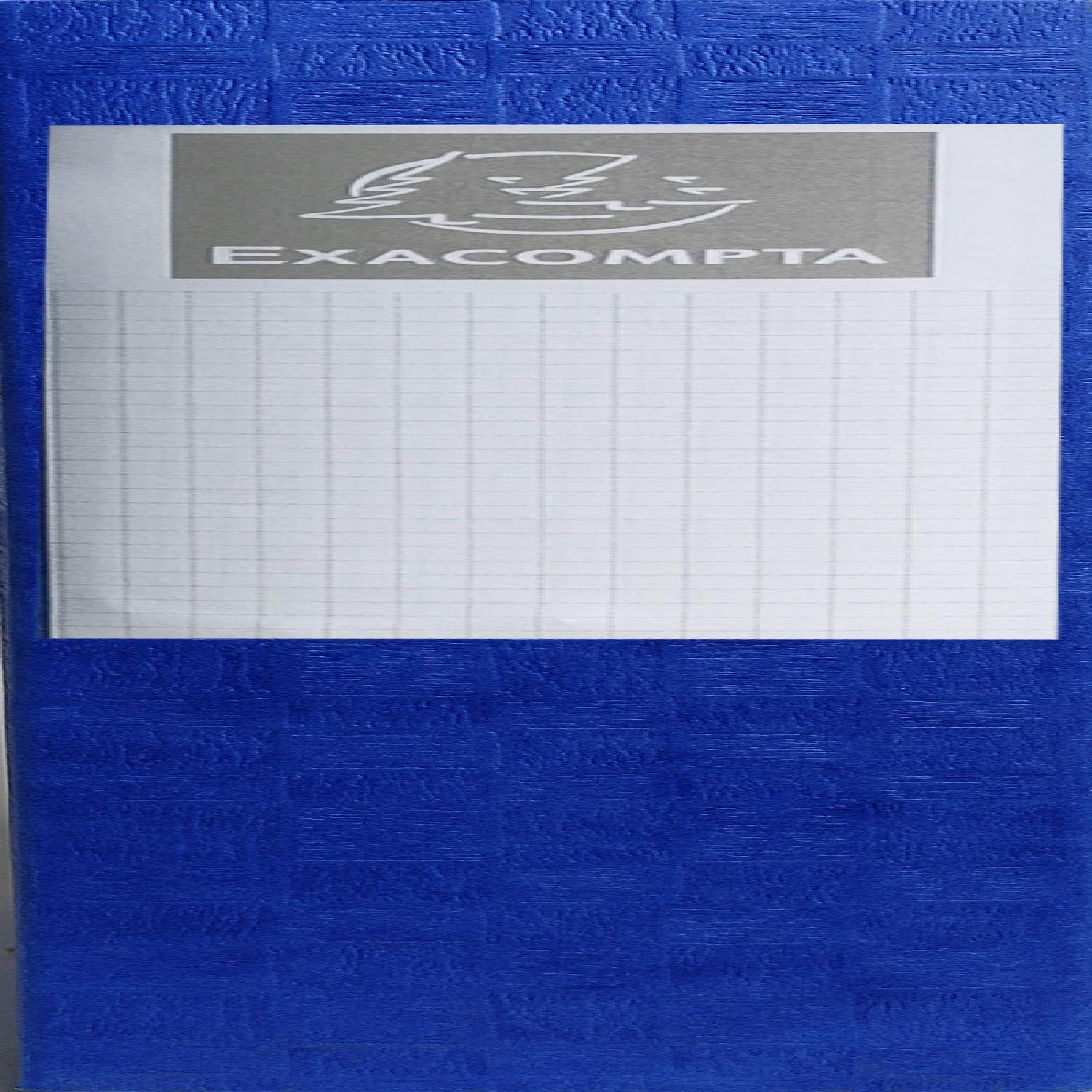 Exacompta 10 scatole archivio Scotten A4 dorso 6 cm assortite