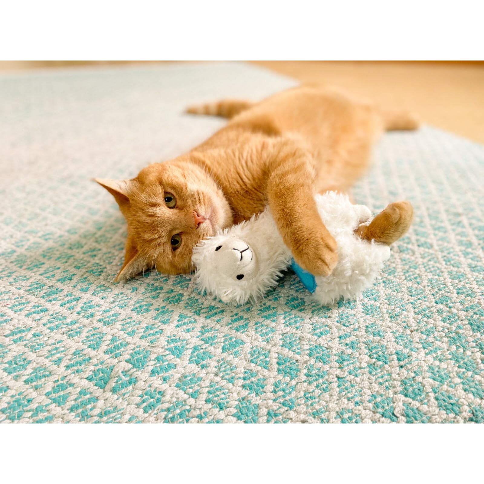 Aumüller Lama Luigi - Cuscino da gioco per gatti con valeriana