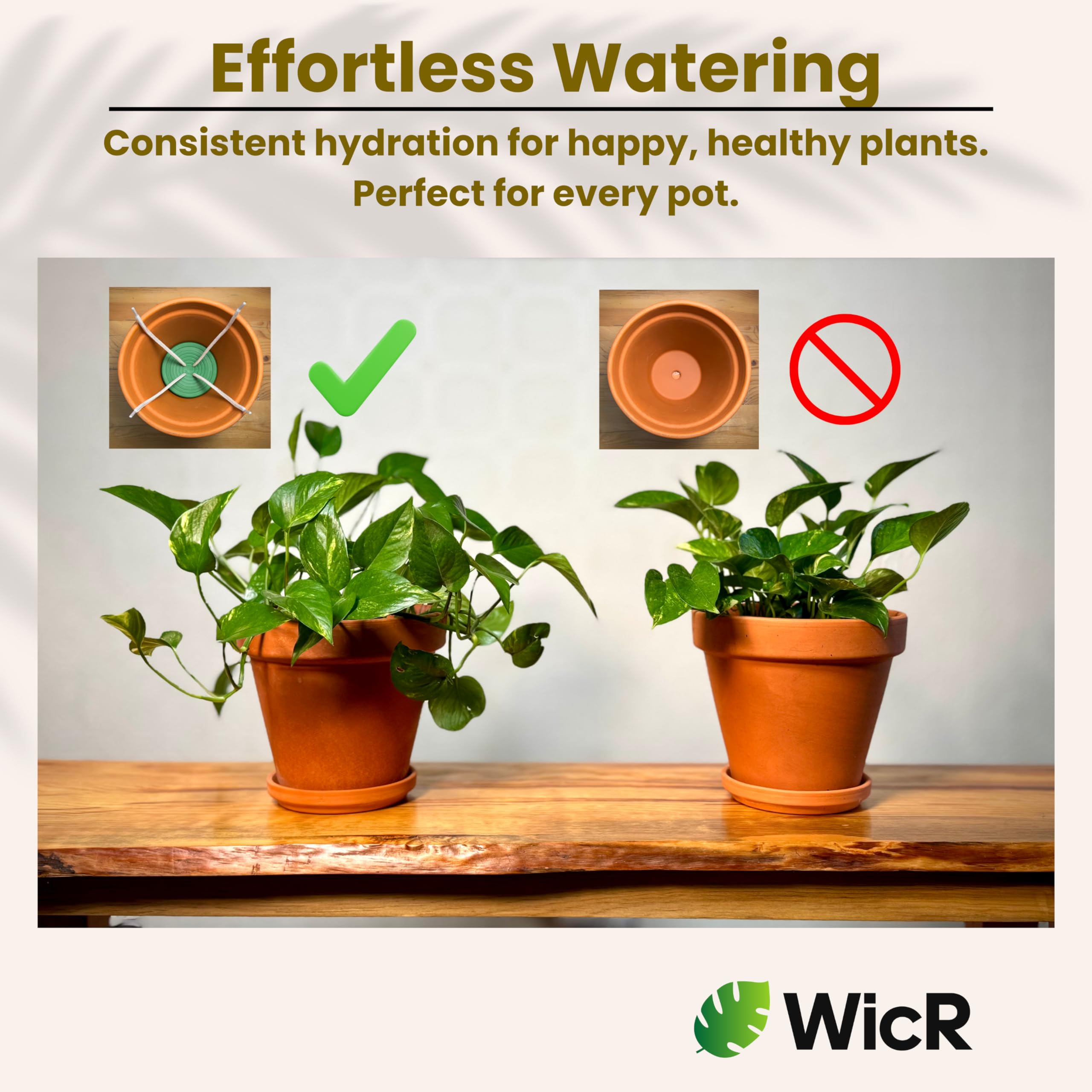 Amazon.com: Self-Watering Planter Insert for Houseplants, Flower Pots and  Hanging Baskets  Bottom Watering Reservoir with Wicking System  Prevents  Over & Under Watering and Root Rot  Indoor/Outdoor  USA Made :