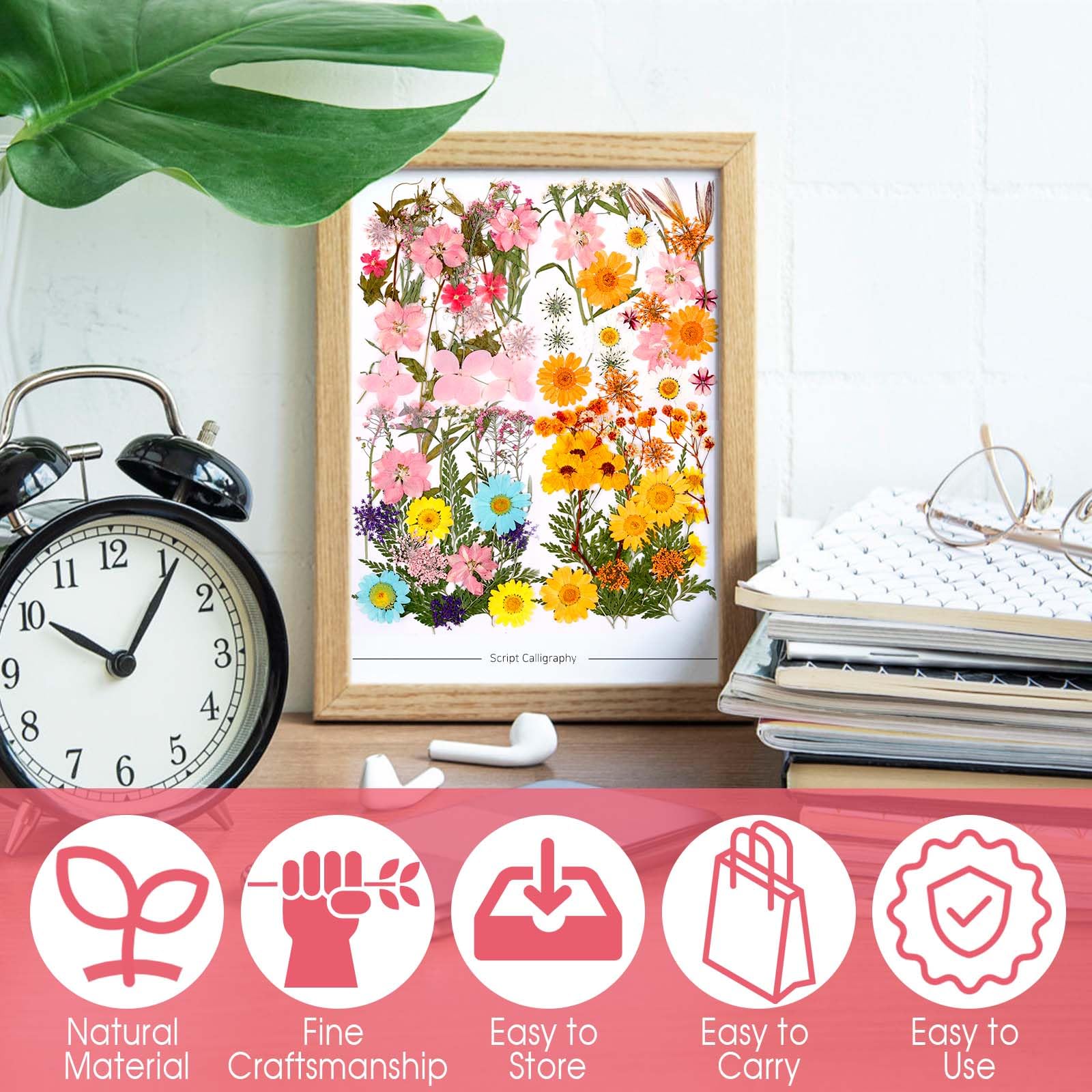 Fiori Secchi per Decorazioni 96 Pezzi Fiori Pressati Naturali con Pinzette per Bomboniere Fai Da Te Candele Scrapbooking