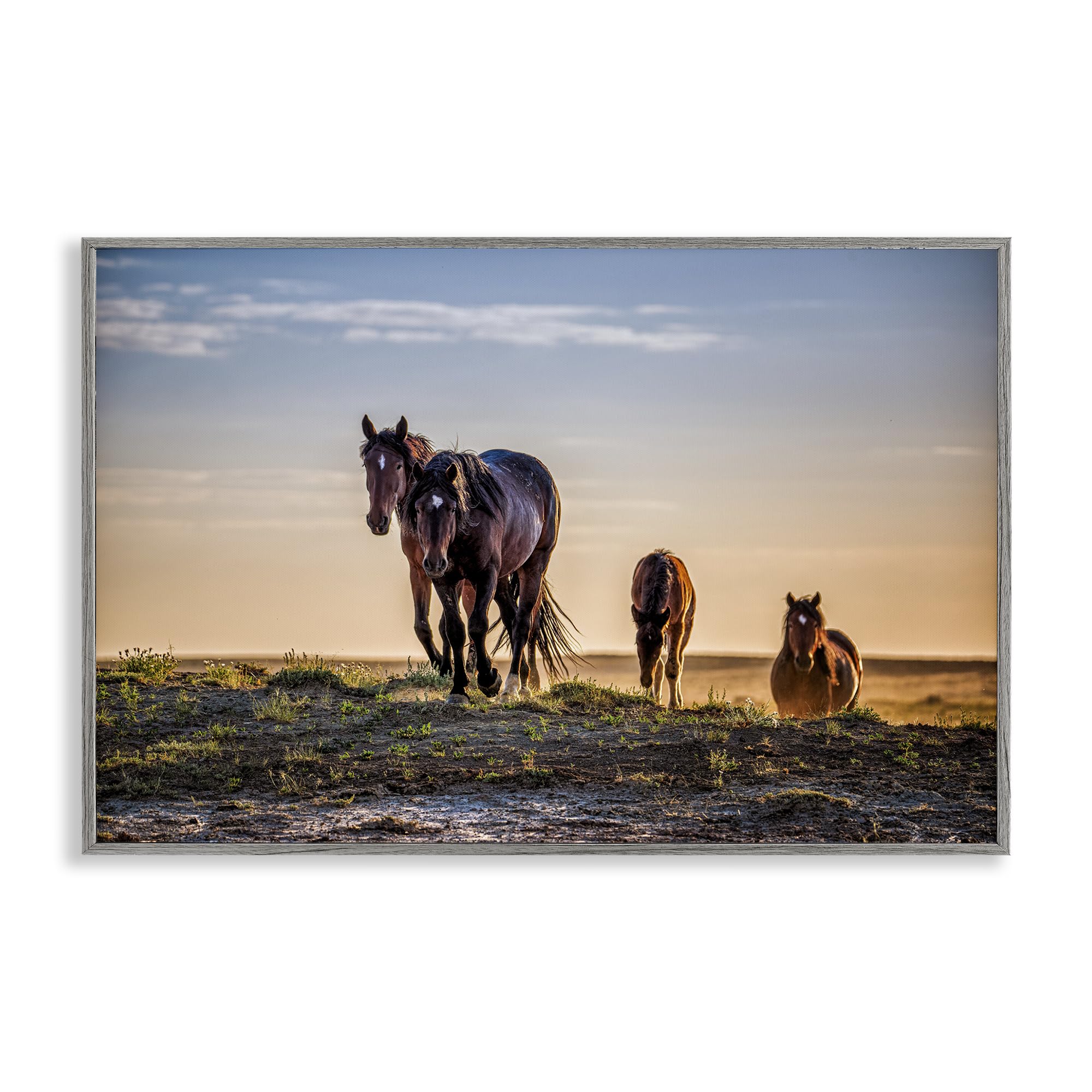 Stupell Industries Sunset Horse Herd 'Horses Coming Home', Framed Giclee Art, Gray, 30 X 20 Inches, Easy To Hang And Sturdy, Made In Usa, By Tim West