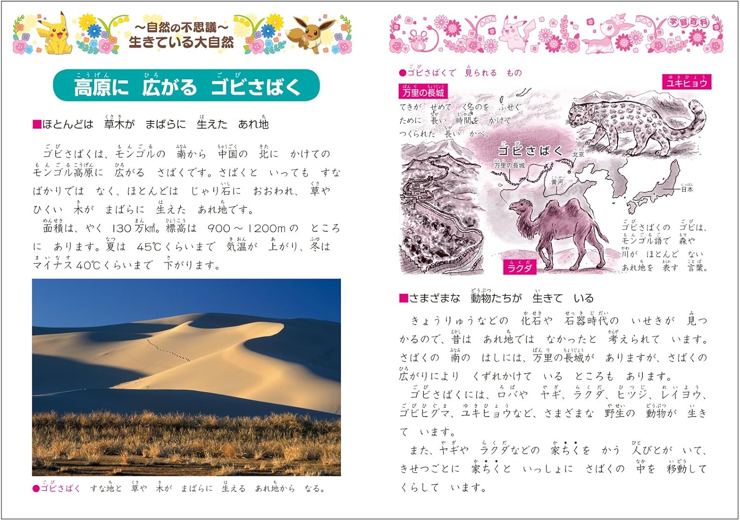 Amazon ショウワノート ポケットモンスター 学習帳 算数 14マス B5 5冊パック Pl 2 1 文房具 オフィス用品 文房具 オフィス用品 Amazon ショウワノート ポケットモンスター 学習帳 算数 14マス B5 5冊パック Pl 2 1 文房具 オフィス用品 文房具 オフィス用品