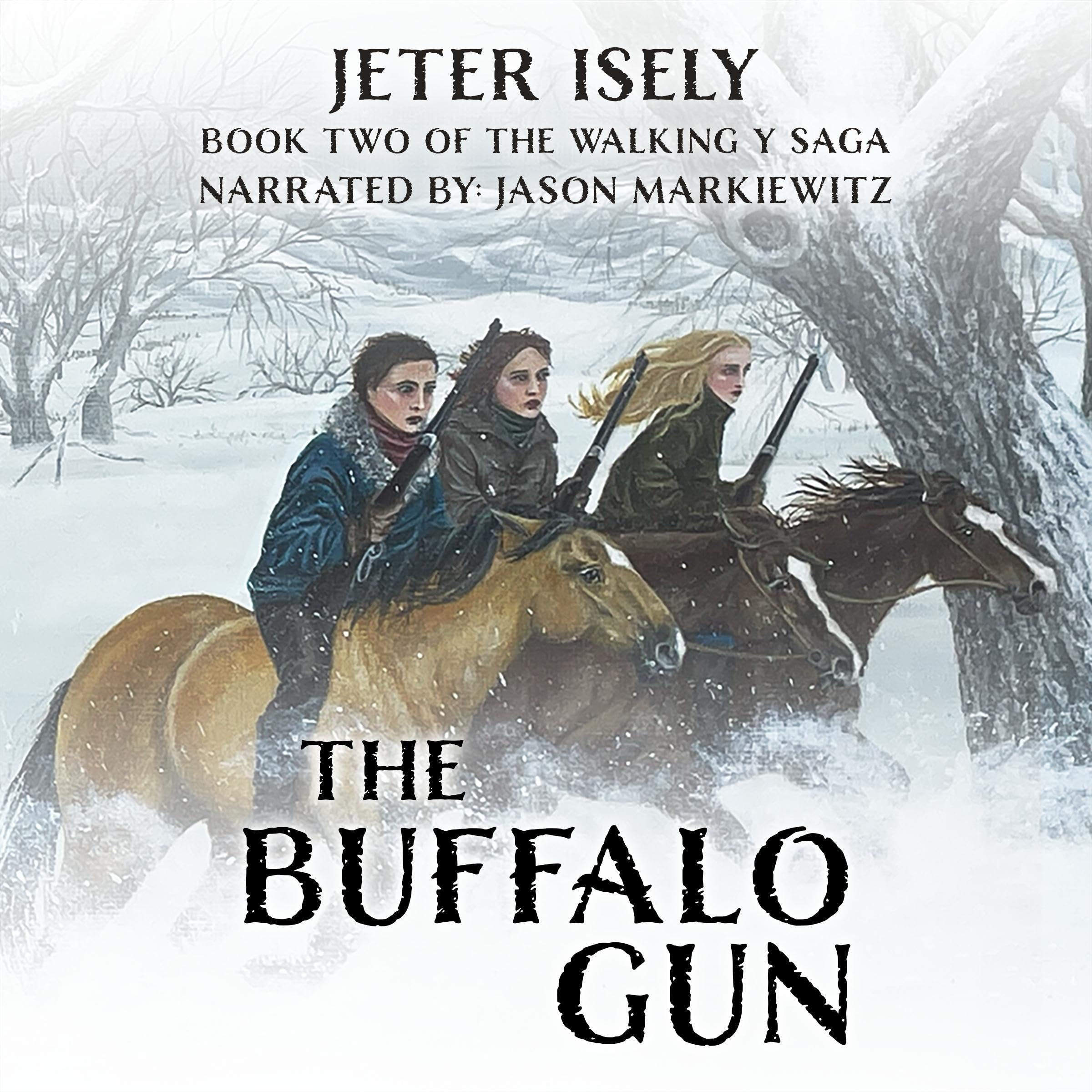 Cover art for The Buffalo Gun