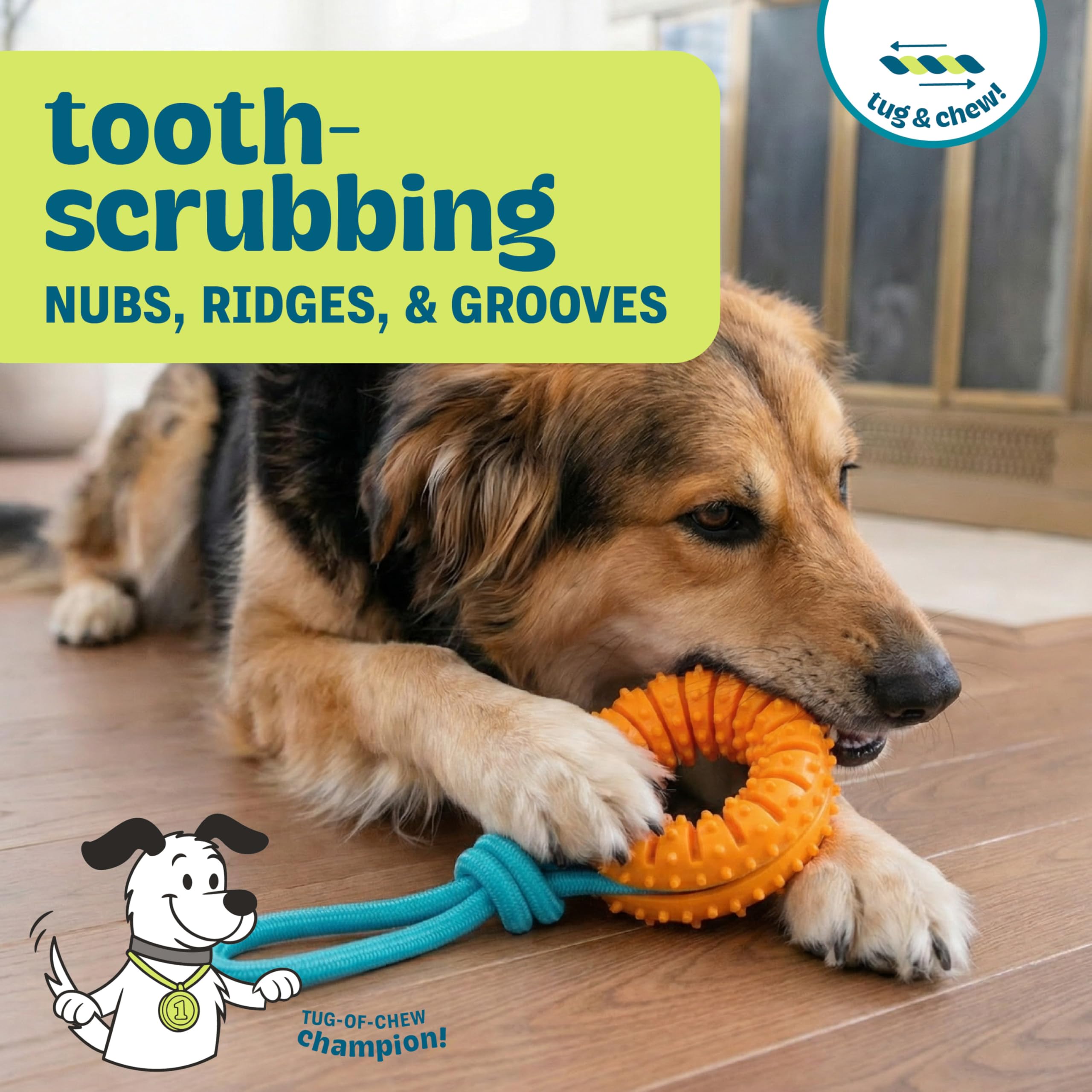 Outward Hound 2 w 1 Dental Chew Wheel zabawka do żucia dla psa i zabawka do szarpania, fioletowe