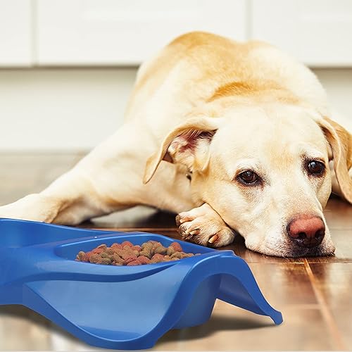 Miniatura 7 de Van Ness Plato doble - Grande