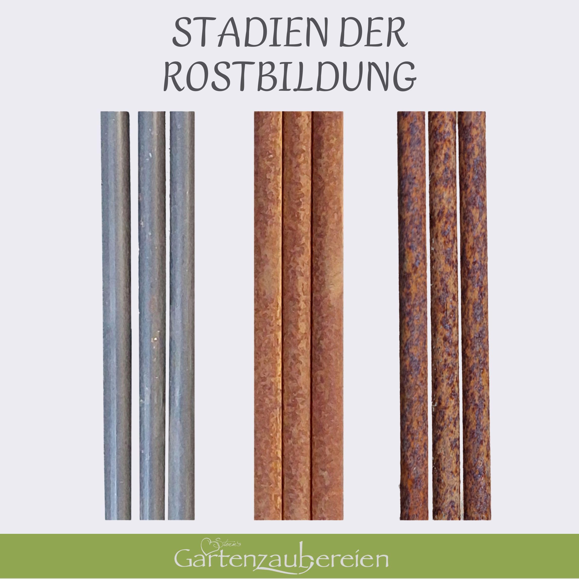 Staudenhalter - Rankhilfe rund 40cm massiv in Volleisen 8mm für Hortensien - Rosen, Gartendeko Pflanzenstütze