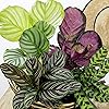 Product Photo 9
