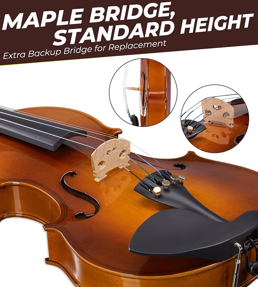Amazon.com: Vangoa Violin 4/4 Full Size Set Fiddle