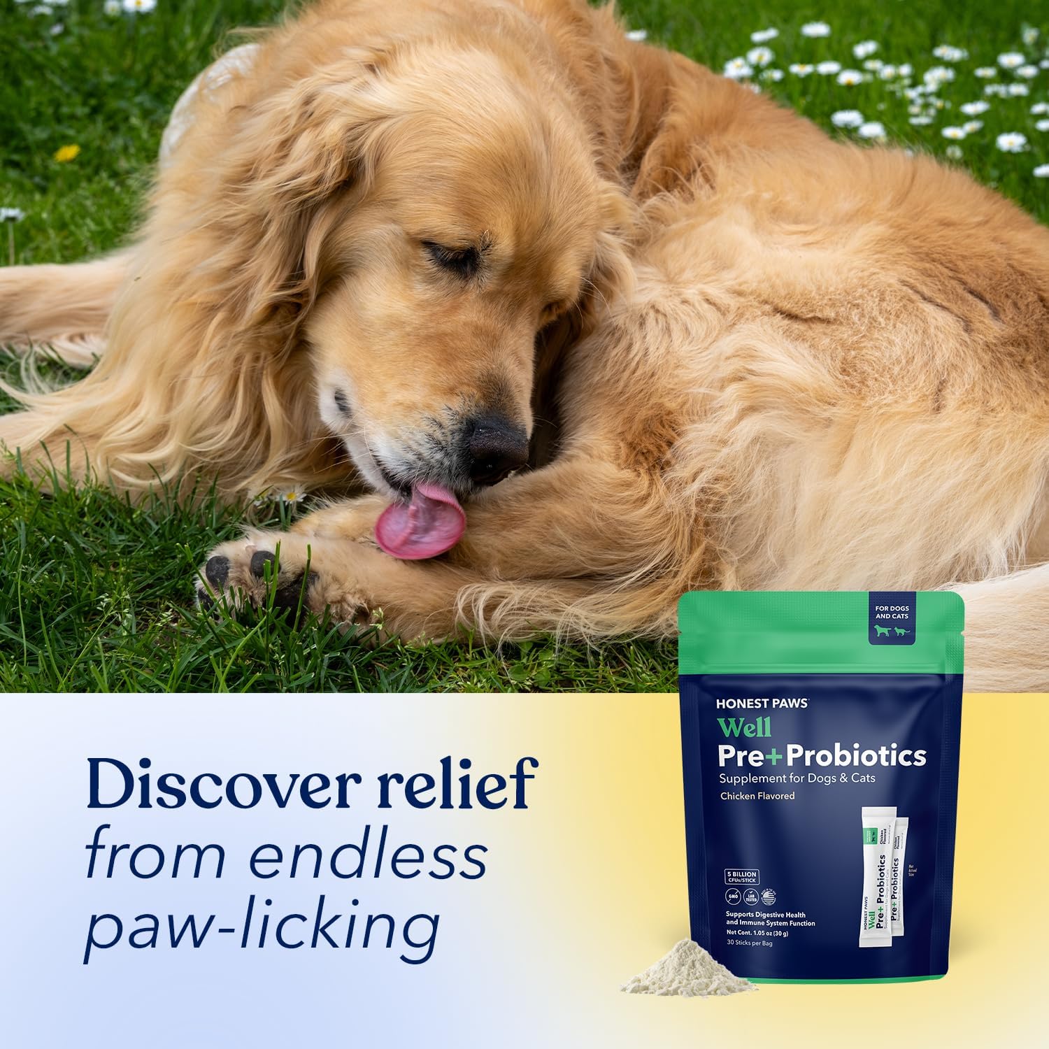 Honest Paws Probiotics for Dogs - Digestive & Immune Support Powder with Prebiotic Made in The USA, Chicken Flavor (30 Sticks)