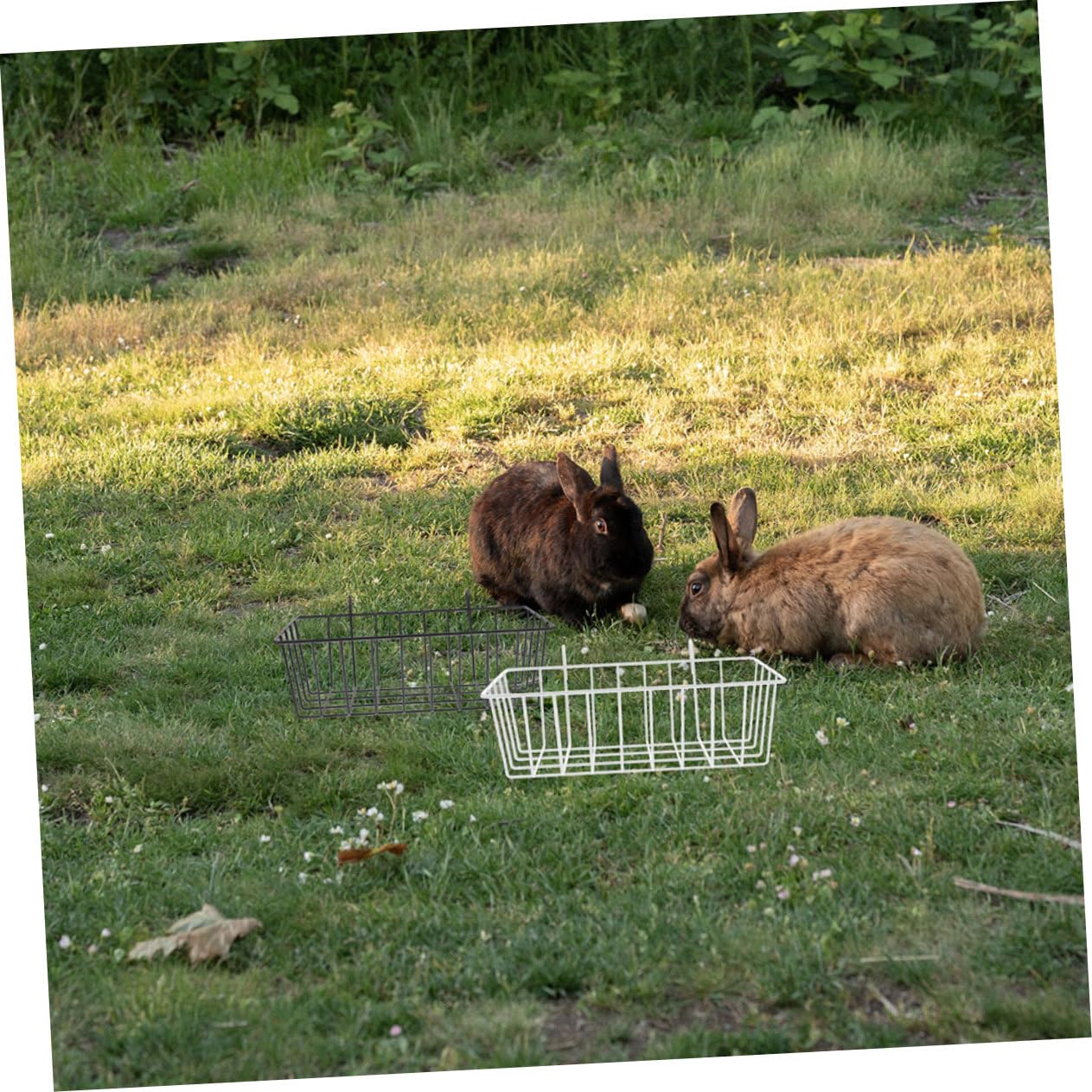 Toyvian 4 Stück Heuraufen für Kaninchen und Kleine Tiere aus Eisen Weiß und Schwarz Vielseitig Einsetzbar und Einfach im Käfig zu Installieren