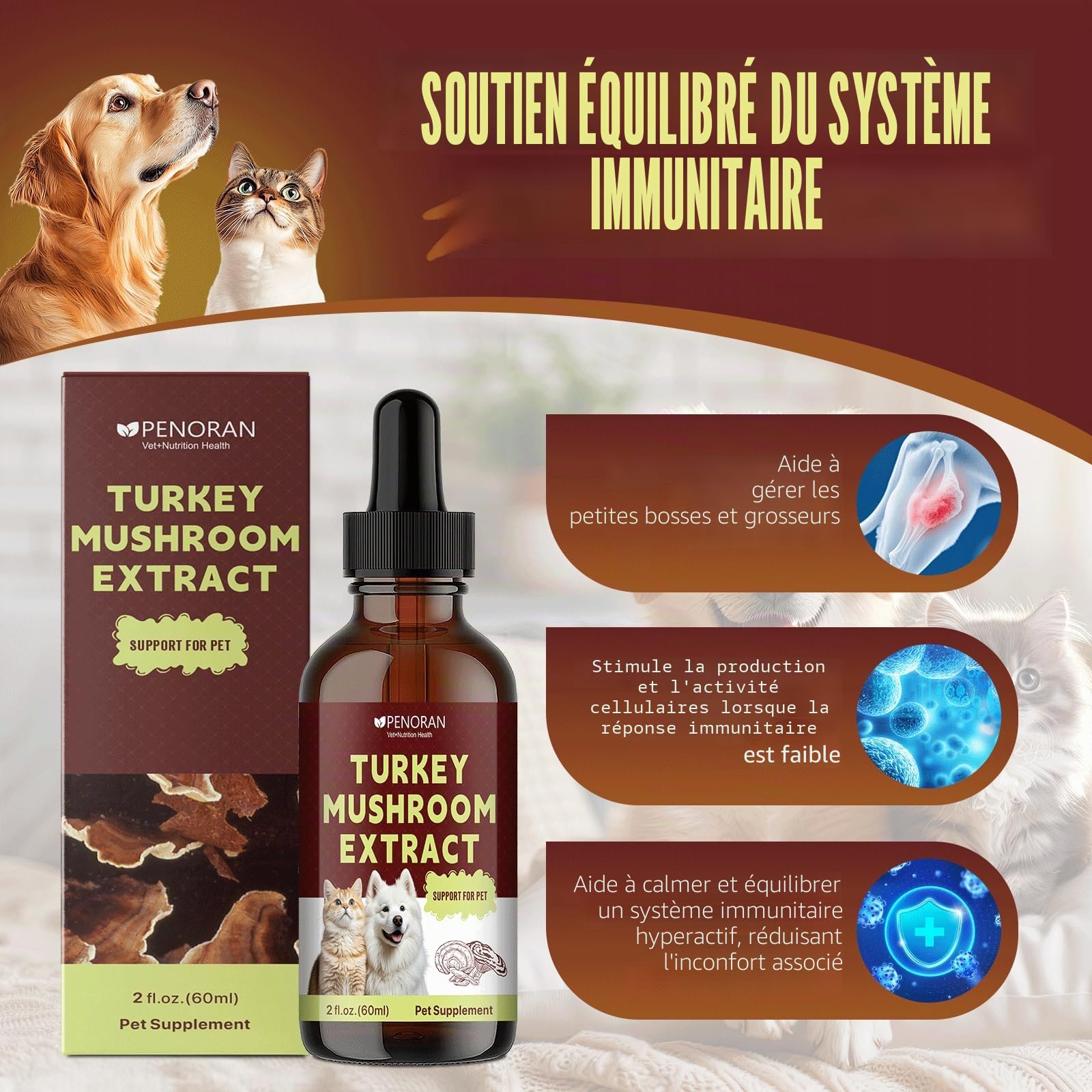 Gouttes de Champignon Queue de Dinde pour Chiens et Chats - Gestion des lipomes, Bosses et verrues, Ganoderme lucide & Chaga | pour Animaux séniors, affaiblis et Post-opératoires