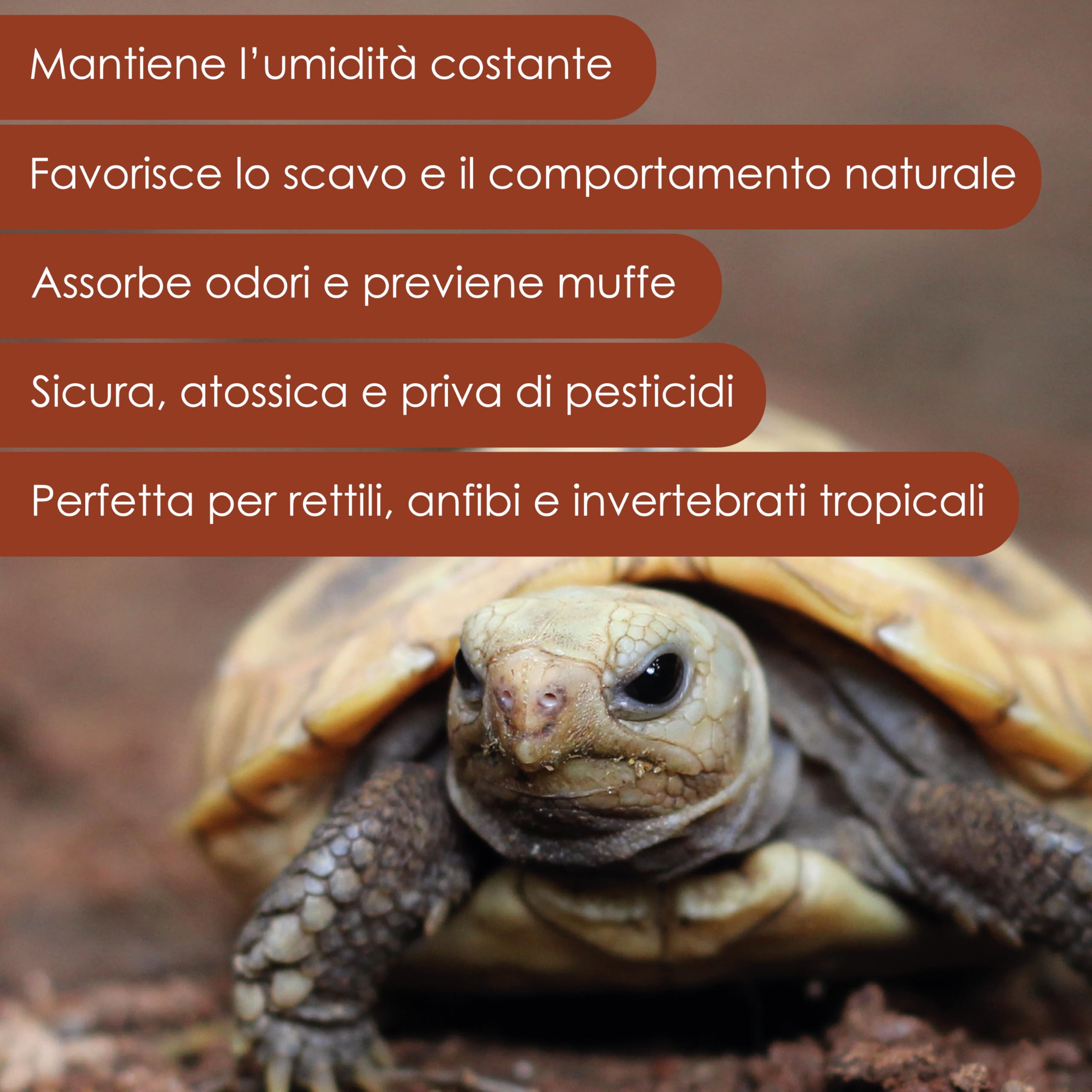 AGRI-CULTURA ® | Fibra di Cocco per Rettili 【20 Litri】 | Substrato Naturale Ideale per Terrario per Tartarughe di Terra, Rettili, Anfibi, Invertebrati | Alta capacità Assorbente.