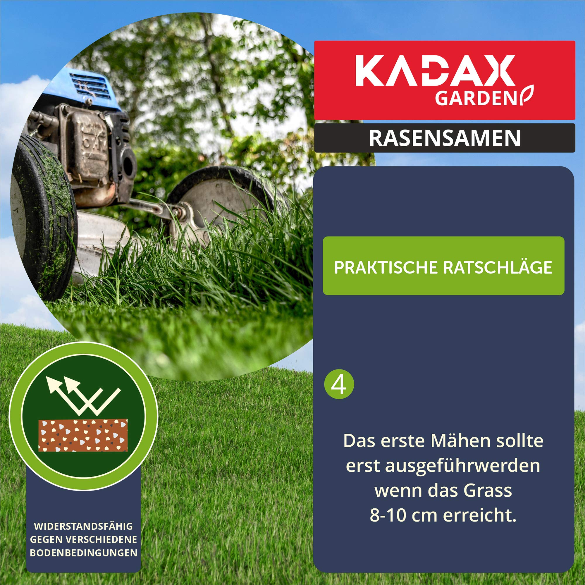 KADAX nasiona traw, 600 m², nasiona traw, trawa uniwersalna, mieszanka traw, nasiona, mieszanka nasion traw, nasiona na solidne i estetyczne trawniki (15 kg)