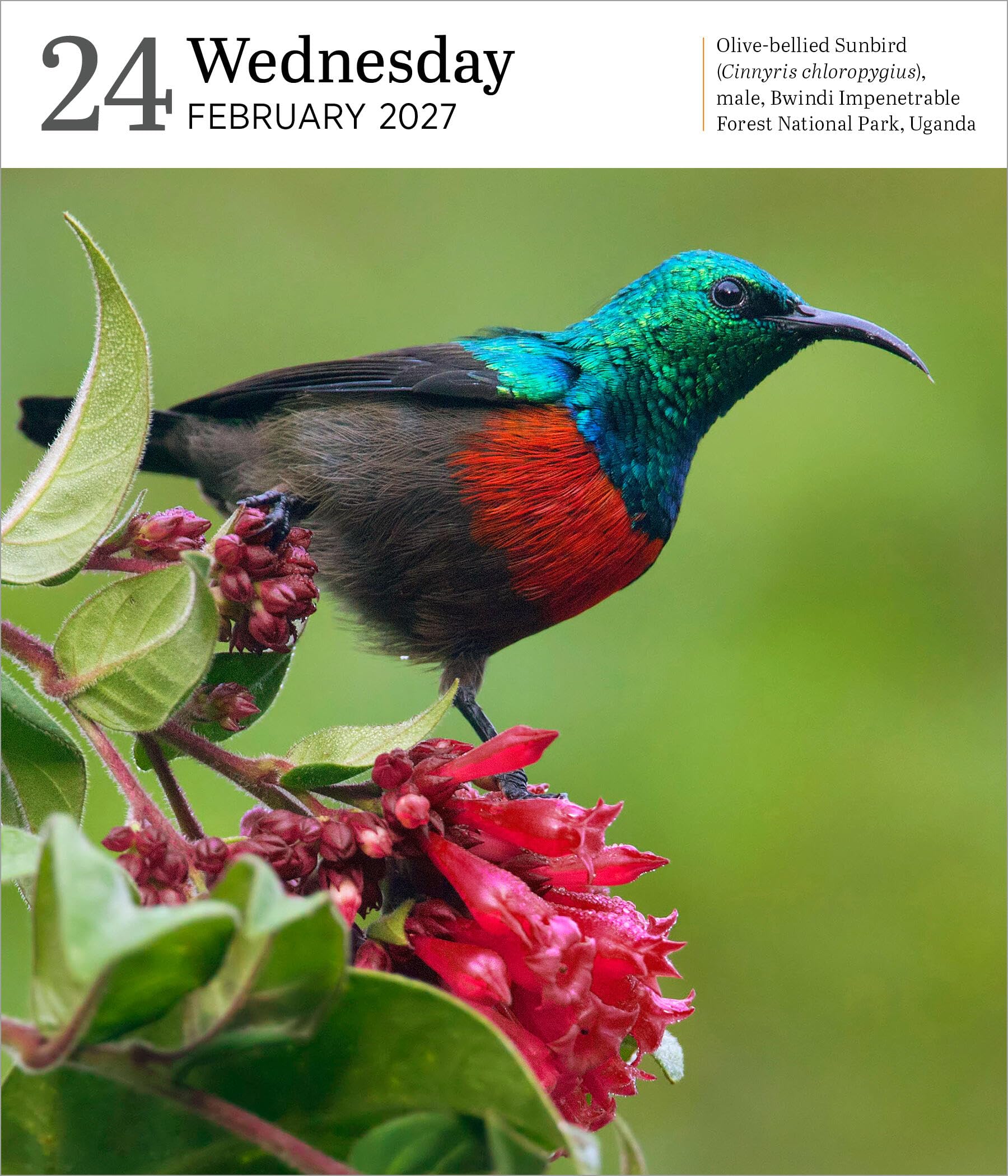 Audubon Nature Page-A-Day® Gallery Calendar 2027