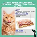 Ver la foto 2