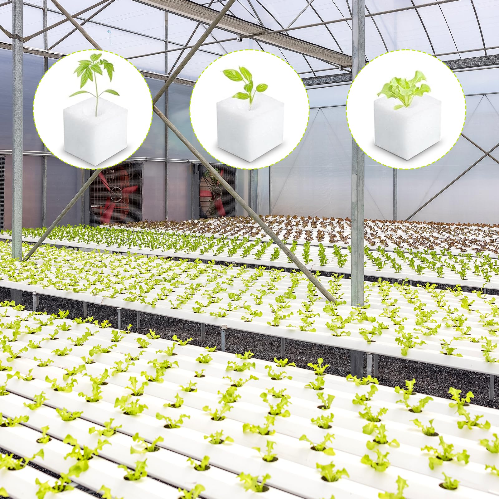 Lot de 500 éponges hydroponiques pour la croissance des plantes, outils de jardinage pour semis, serres et plantes potagères.