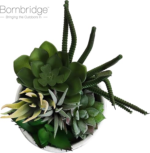 Miniatura 2 de Bornbridge Plantas suculentas artificiales, suculentas falsas en maceta, arreglo de suculentas, jardín de suculentas de imitación en maceta de
