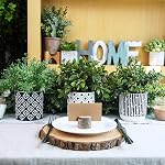 Winlyn 3-Pack Artificial Potted Plants - Faux Eucalyptus, Rosemary, Boxwood Greenery in Small Black & White Geometric Concrete Pots -Desk, Table, Shelf, Windowsill Decor for Indoor Outdoor Home Office