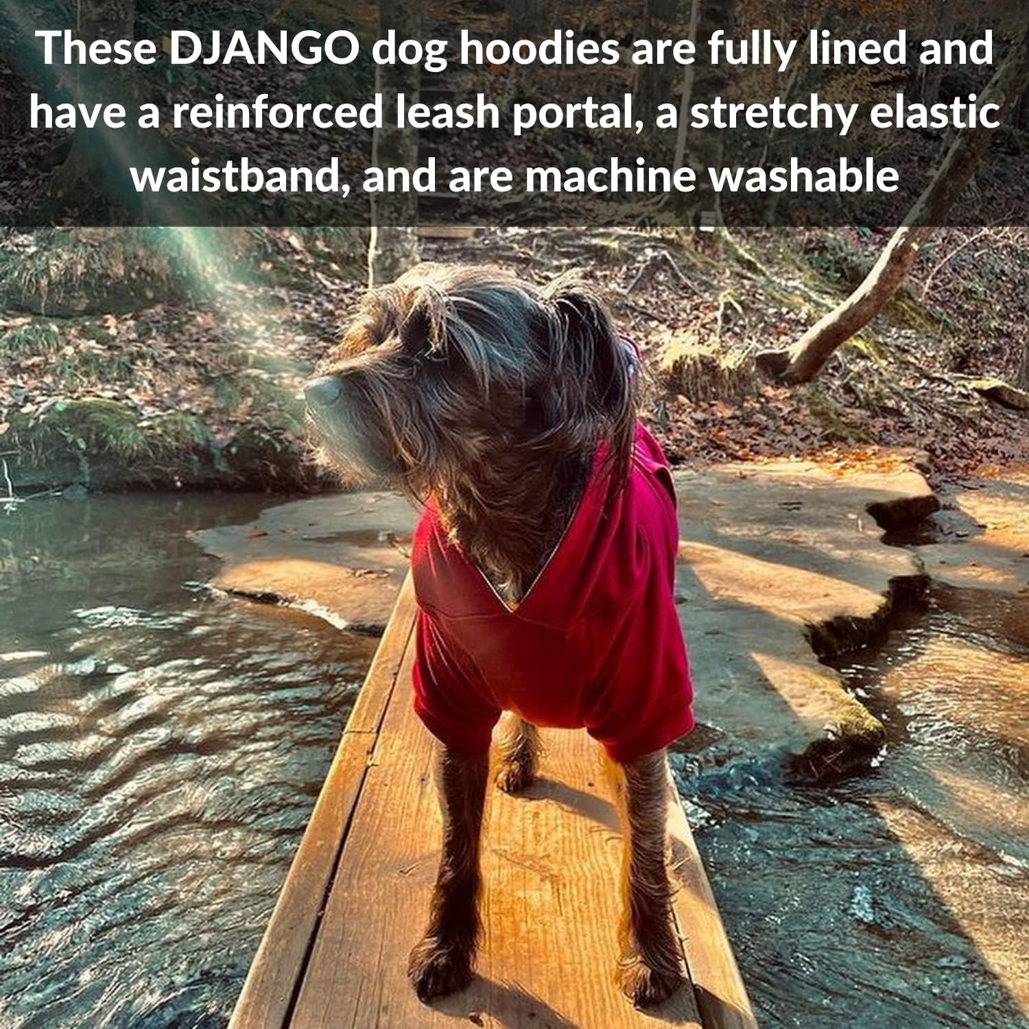 DJANGO Burgundy Red Dog Winter Hoodie - Soft, Stretchy, Warm & Cozy - Medium Size - Machine Washable - Image 4