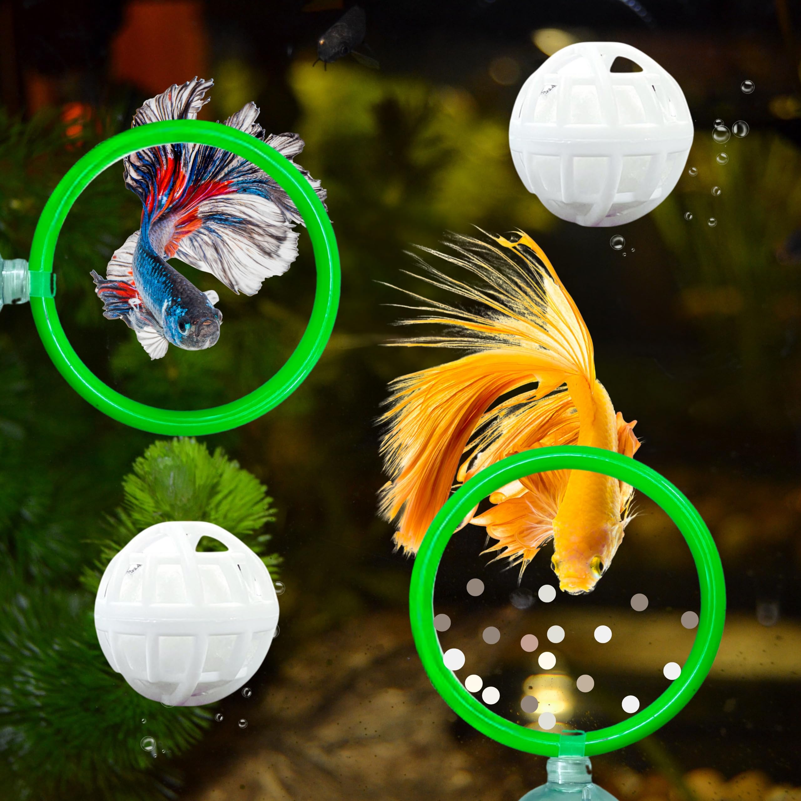 Betta Fish Exercise Ring and Filter Balls Set, Fish Feeder Ring and Nitrifying Ball, Betta Fish Toys for Small Tank, Betta Ring, Beta Fish Training Loop, Aquarium Toys for Pets Turtle (Green, M-70mm)
