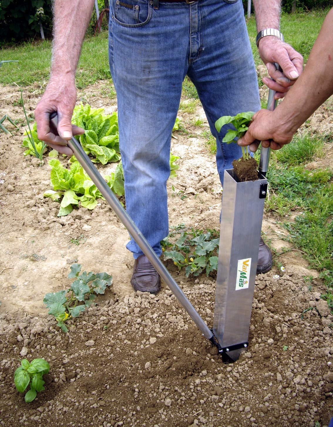 Piantatore Professionale per ortaggi e piantine TM-100