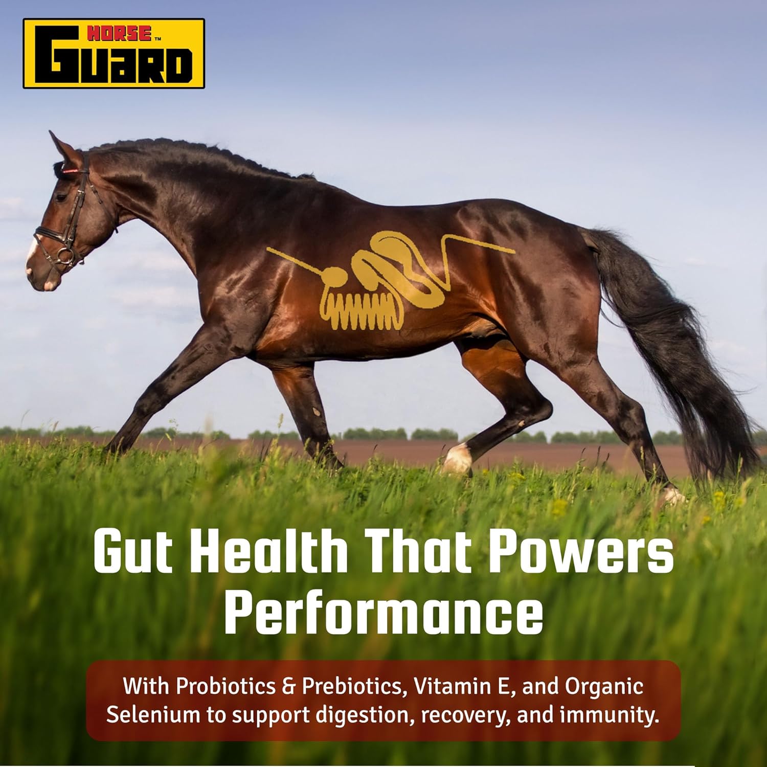 Trifecta 4 in 1 Complete Equine Vitamin Mineral Supplement, with MSM, Hyaluronic Acid, & Glucosamine for Joint Support, Hoof Support, Gut Support in a 10 lb Bag, 20 Day Supply