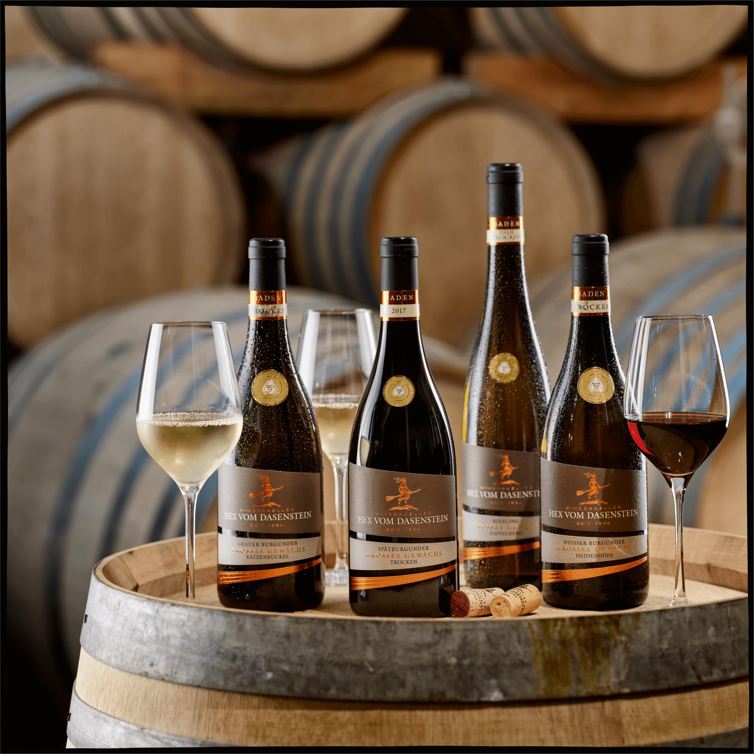Villa Heynburg Cuvée Noir Qualitätswein trocken - Rotwein Cuvée aus hochwertigen, renommierten Rebsorten, modern und aromatisch - Badischer Wein, Anbaugebiet Ortenau (6 x 0,75 l)