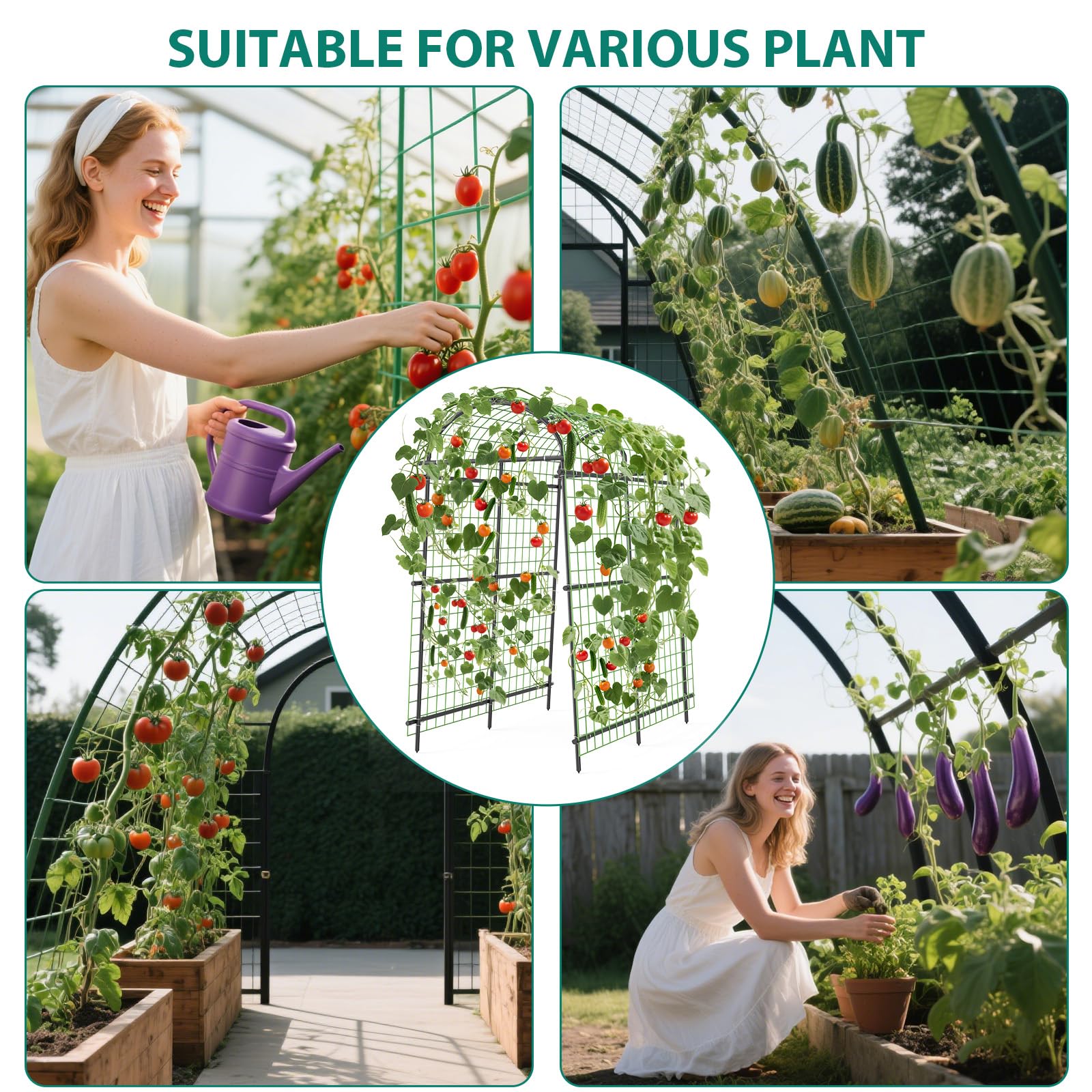 Treillis De Jardin en Métal PE, Haut 230CM, Arche Potager avec Clip en Croix, Support Plante Grimpante Extérieur, Treillis Potager pour Concombres Tomates Pois, Tubes Transversaux 7