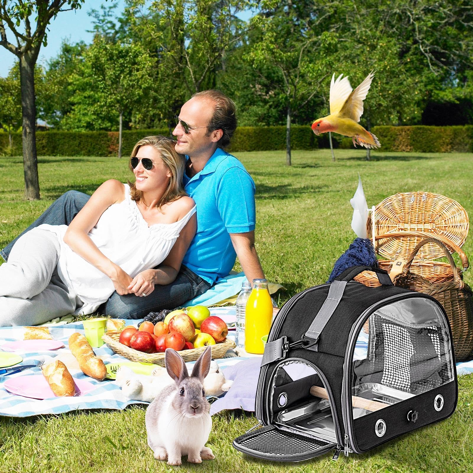 Bolsa de transporte para pájaros con ventana transparente - Mochila de viaje para loros, bolsa de transporte plegable portátil con barra de pie, bolsa de transporte para pájaros ornamentales,