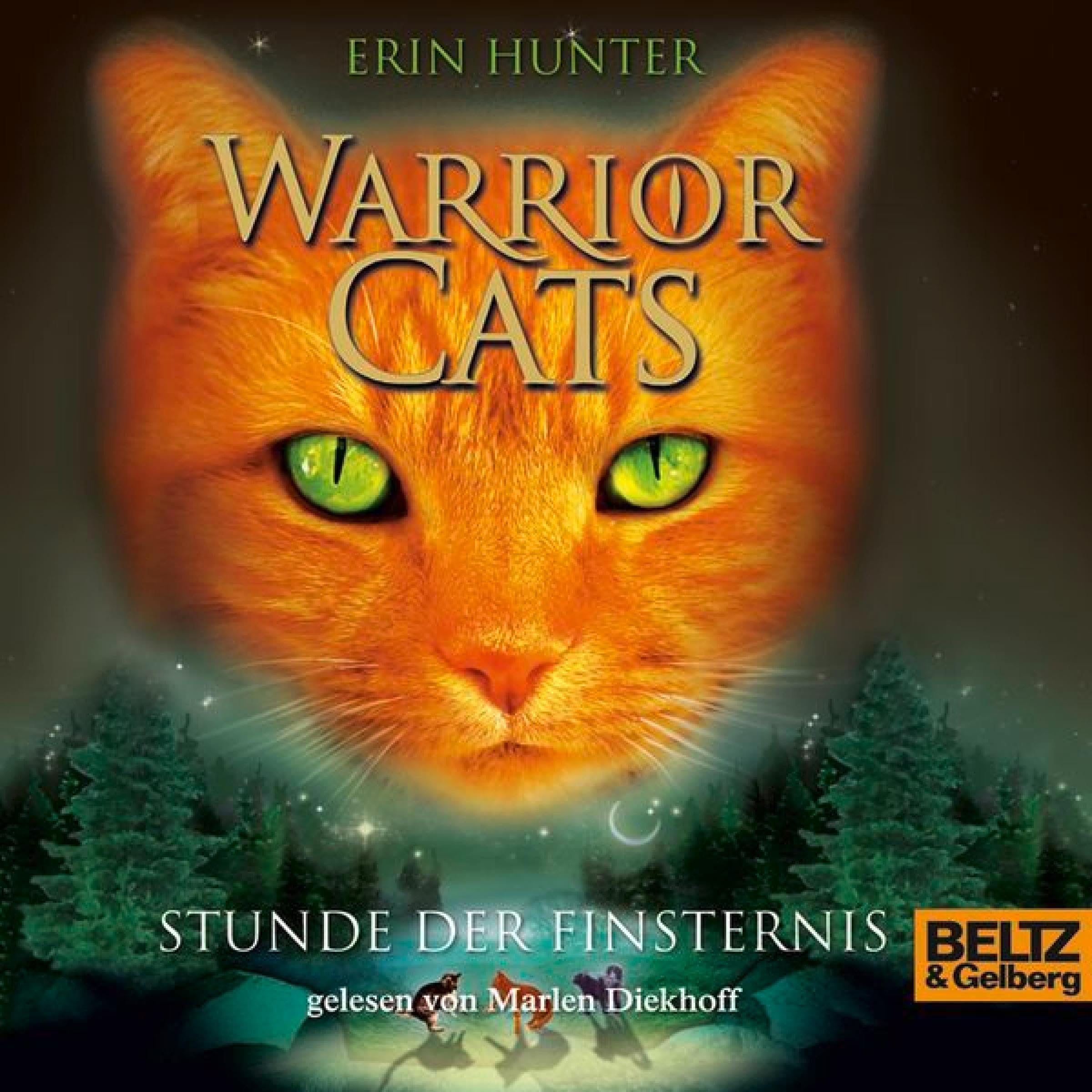 Cover art for Stunde der Finsternis