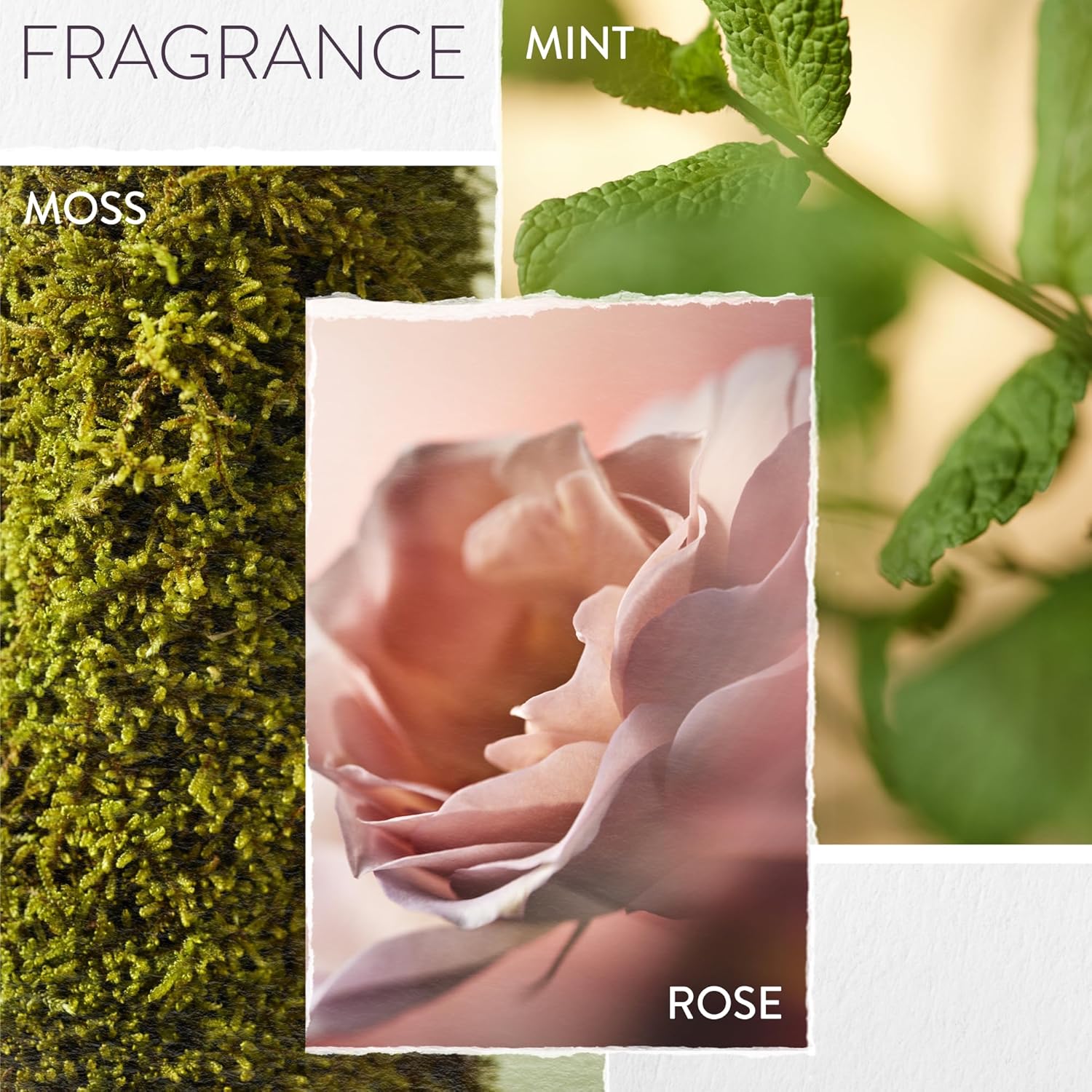 Pureology Hydrate Conditioner - For Dry or Color Treated Hair, Nourishing Conditioner to Restore Moisture and Seal in Hydration, Vegan - Image 7