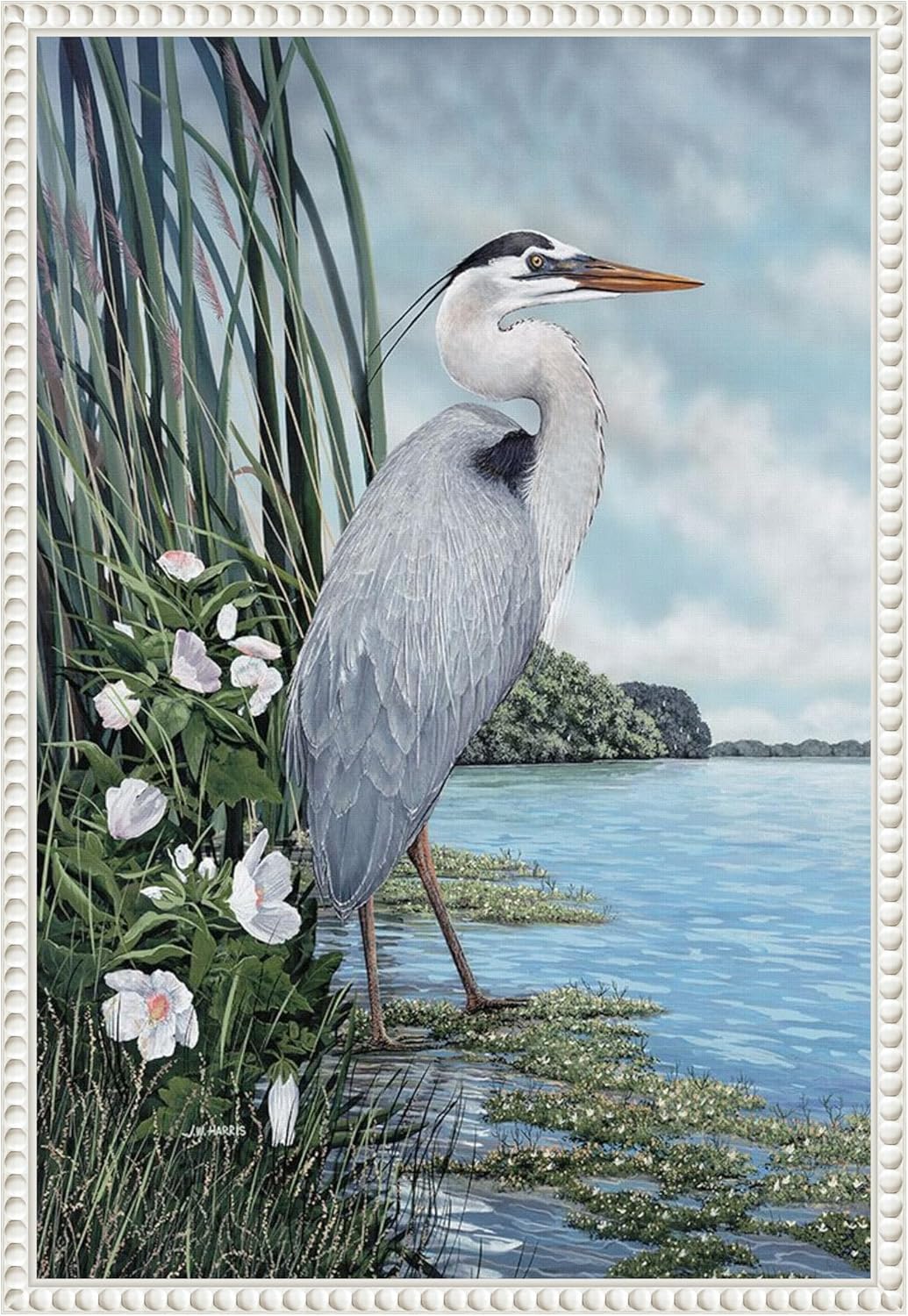 Amanti Art Framed Canvas Wall Art 23x16 Great Blue Heron by James Harris, Framed Wall Art Canvas, Animals Artwork, Traditional Decor, Medium Poster Painting for Living Room, Bedroom, Bathroom